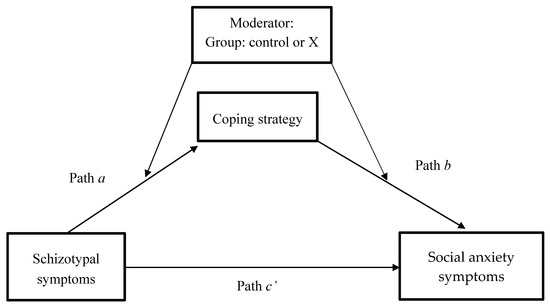 Connecting the Dots between Schizotypal Symptoms and Social Anxiety in ...
