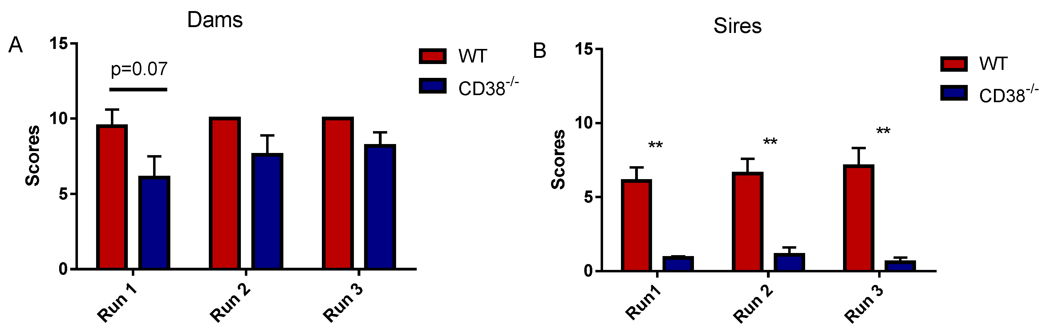 male mice knockouts oxytocin social amnesia male mice knockouts oxytocin social amnesia