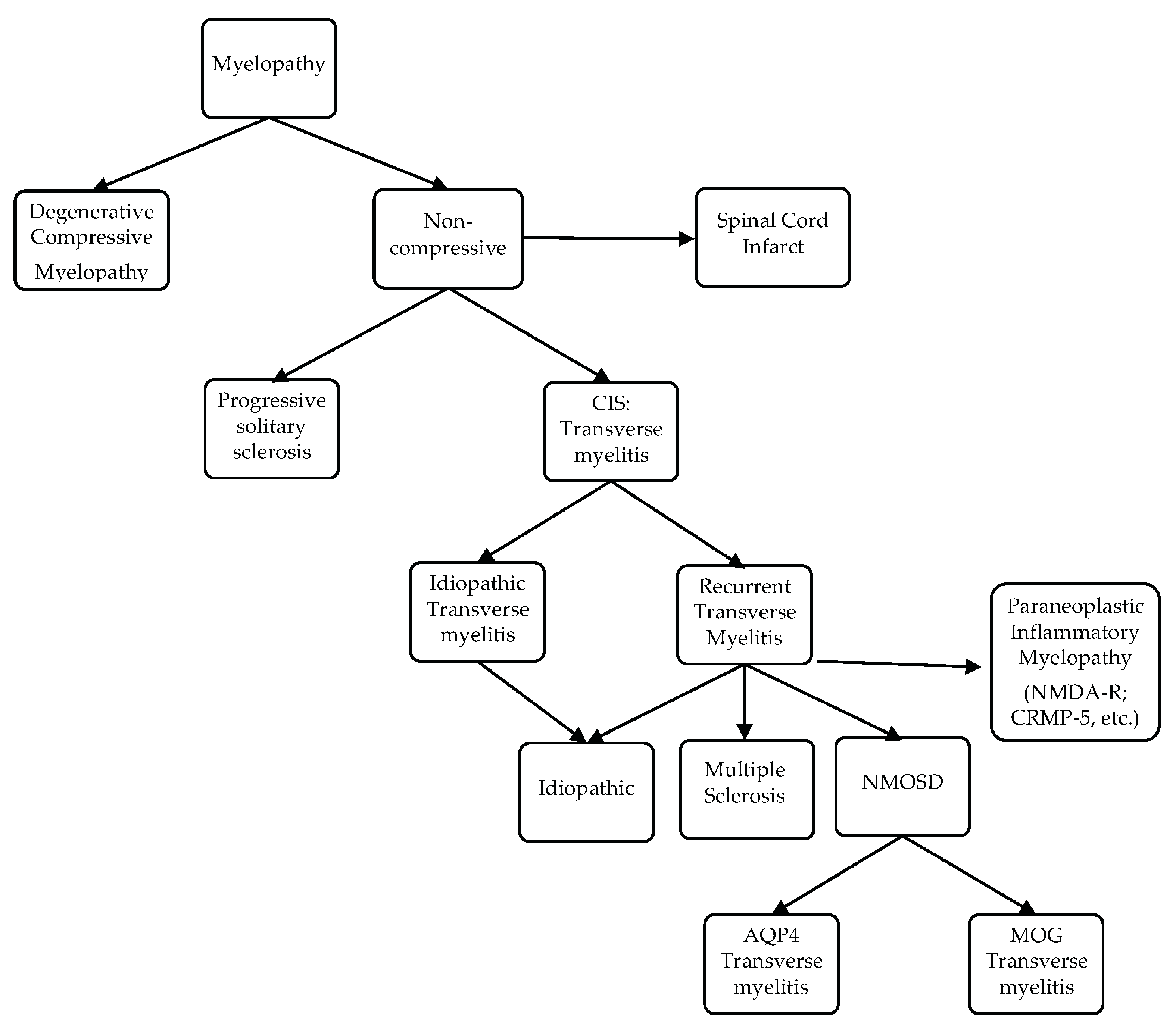 Brainsci 07 00138 g003 Brainsci 07 00138 g003