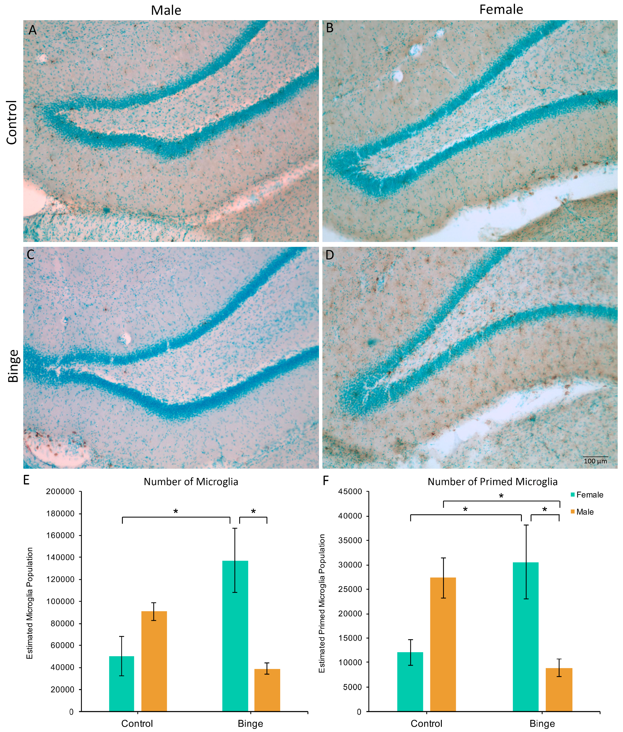 Brainsci 07 00139 g003