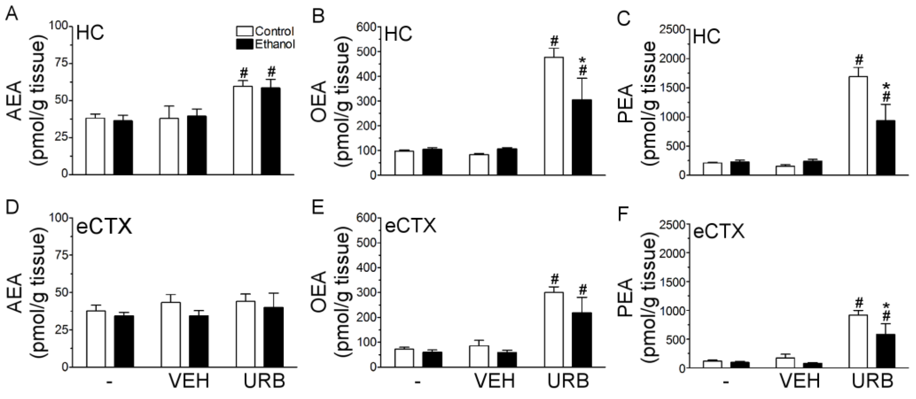 Brainsci 07 00158 g005 Brainsci 07 00158 g005