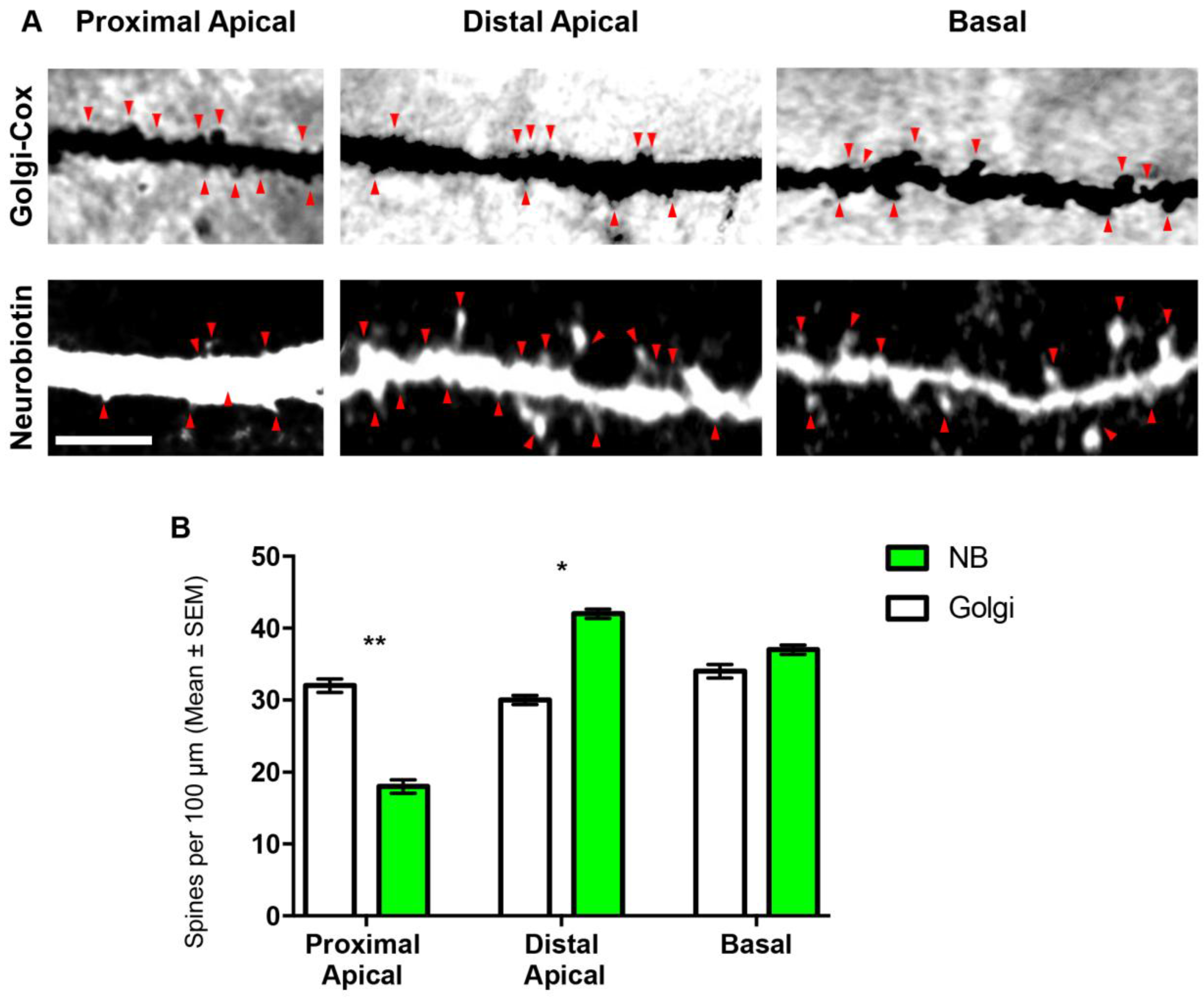 Brainsci 07 00165 g002