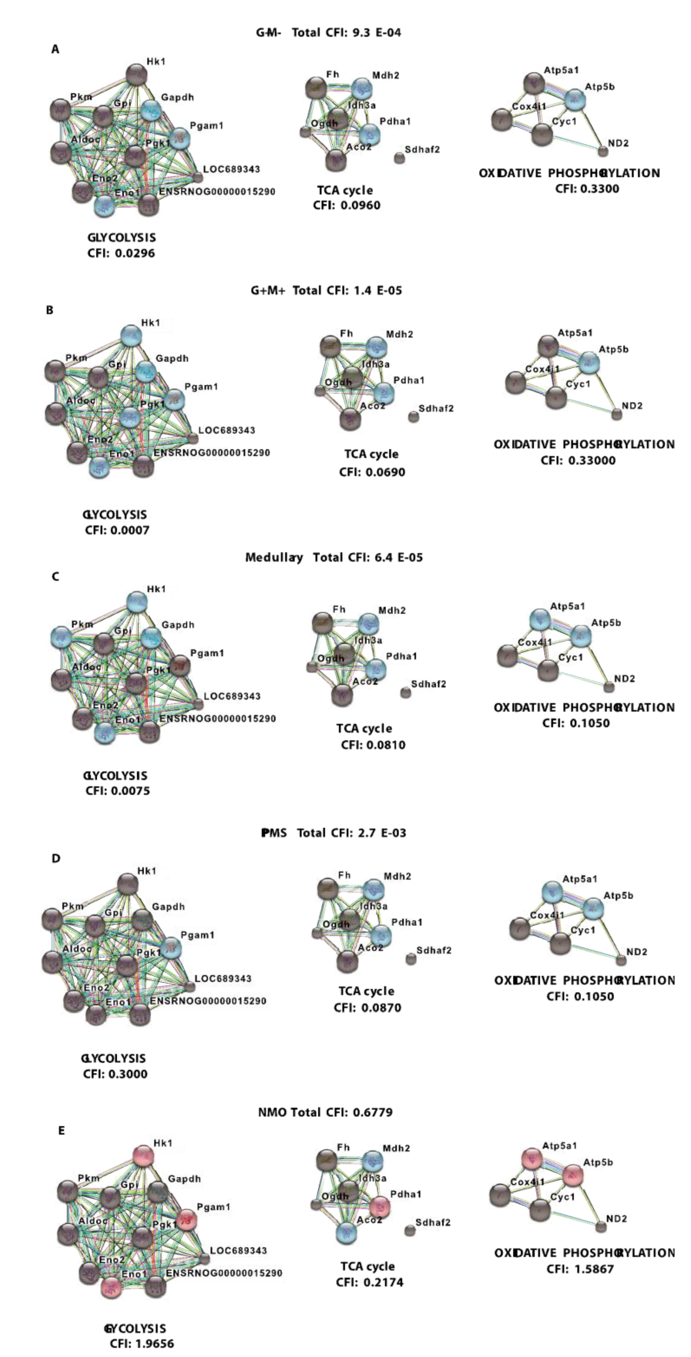 Brainsci 08 00001 g006 550
