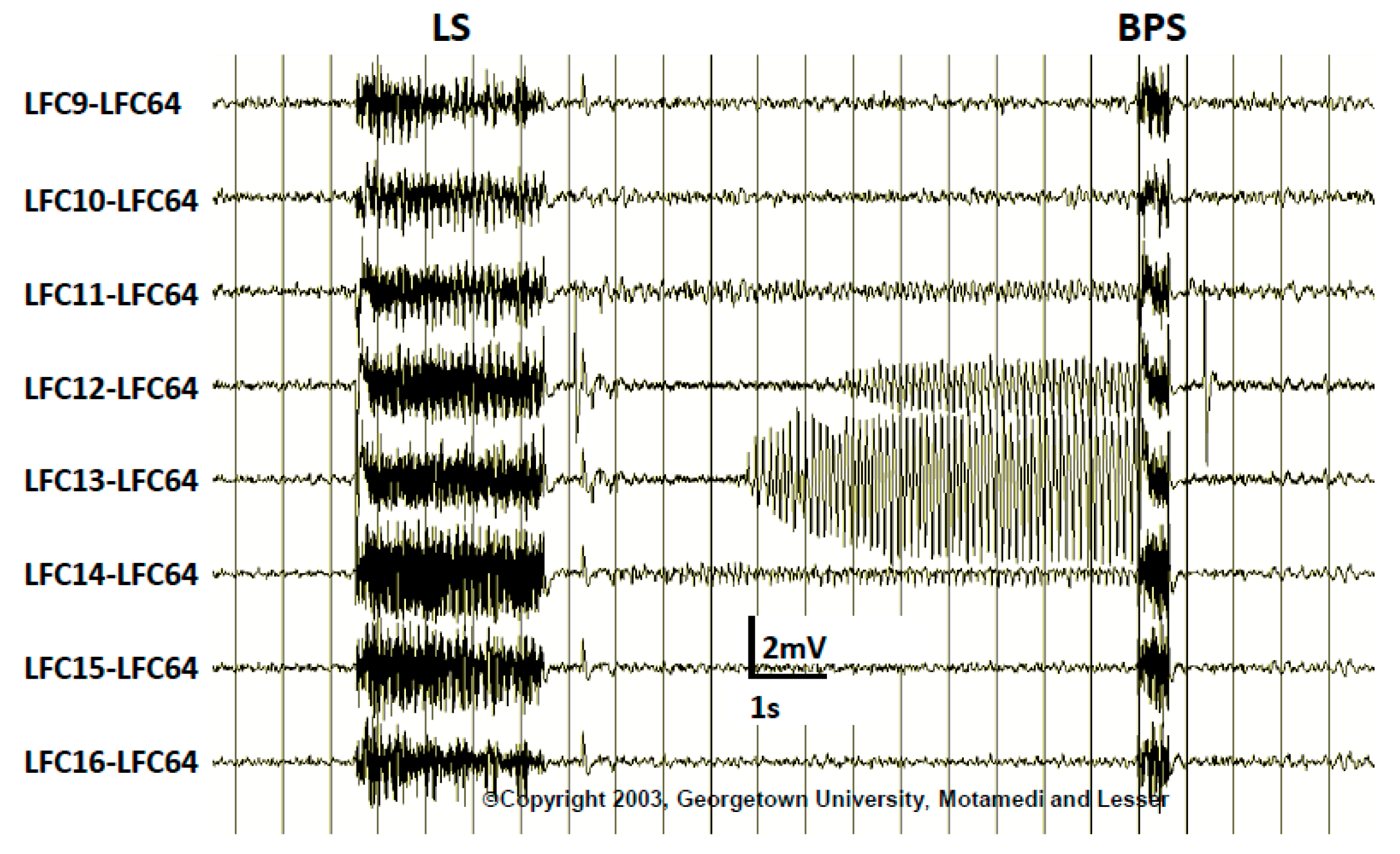 Brainsci 08 00049 g007 Brainsci 08 00049 g007