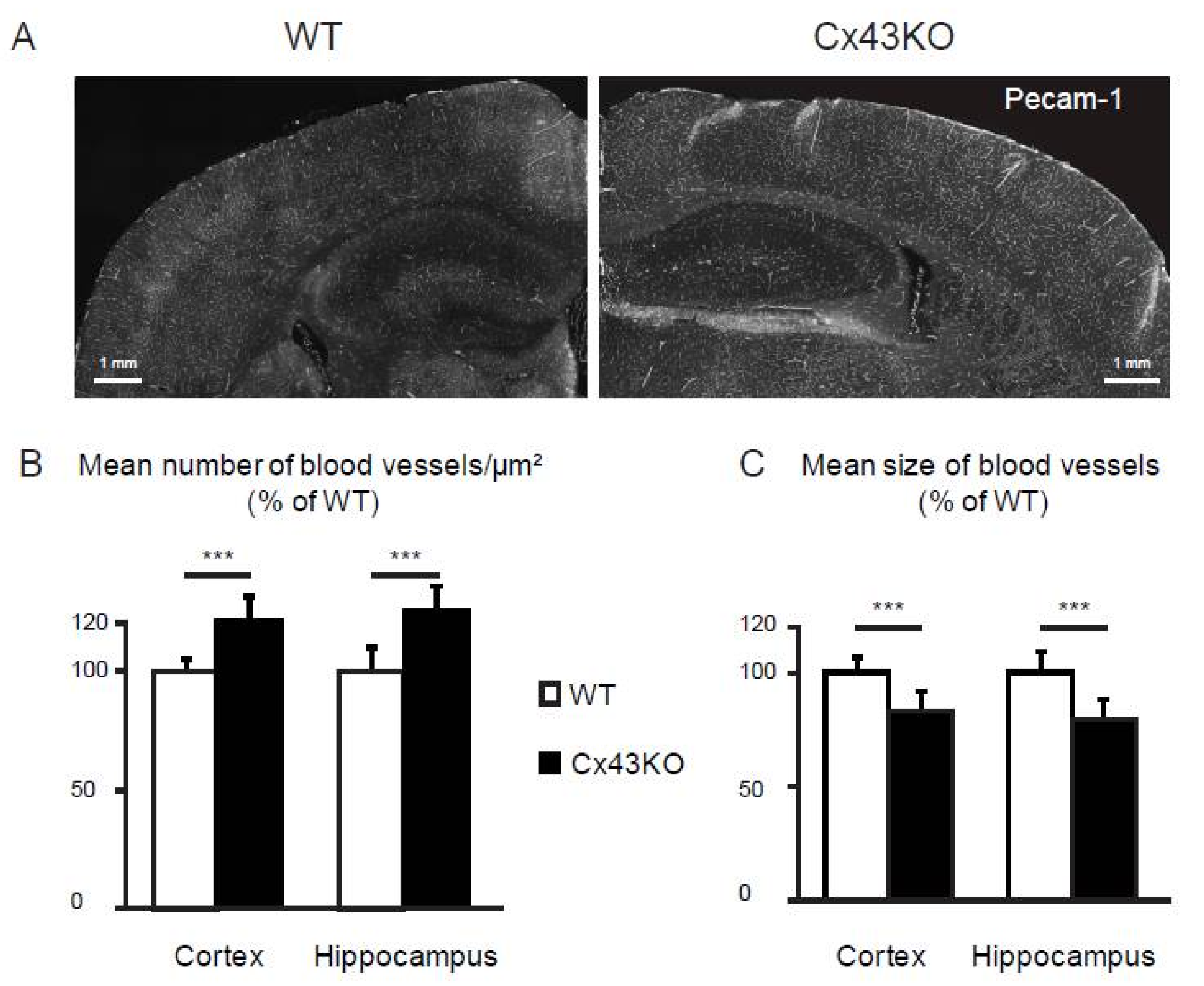 Brainsci 08 00050 g004 Brainsci 08 00050 g004