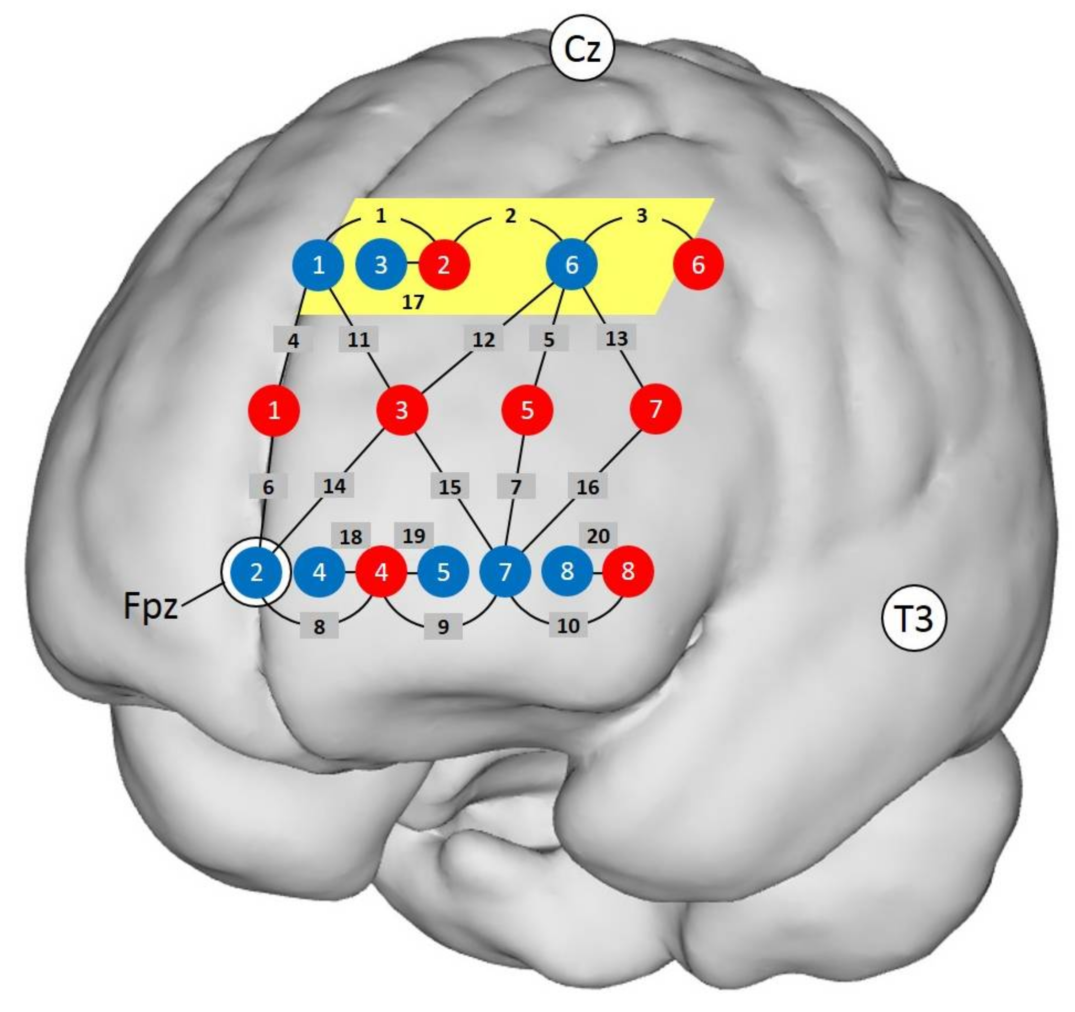Brainsci 08 00062 g002