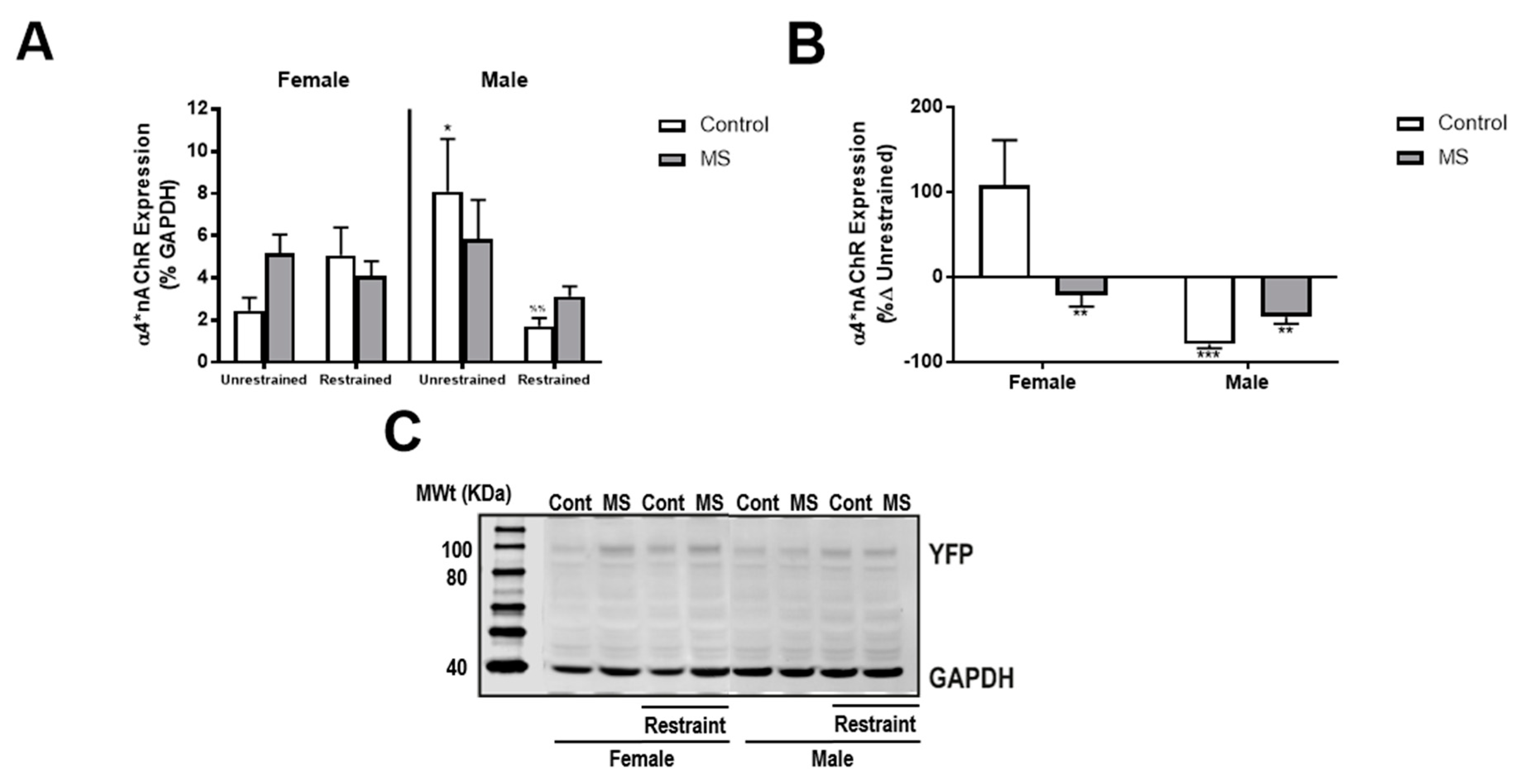 Brainsci 08 00070 g004 Brainsci 08 00070 g004