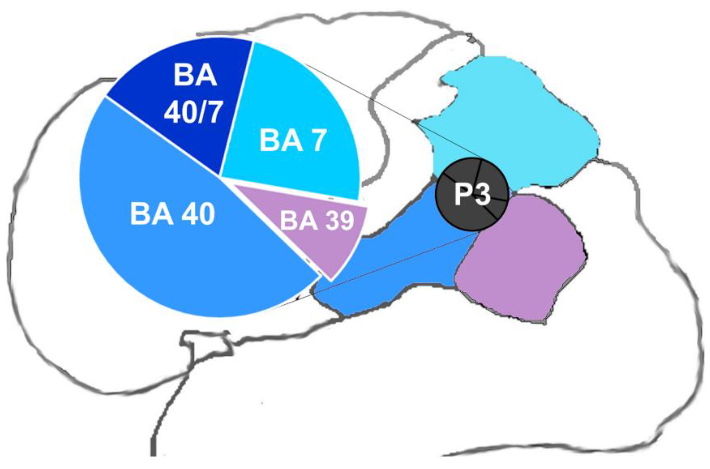 Brainsci 08 00078 g001 Brainsci 08 00078 g001