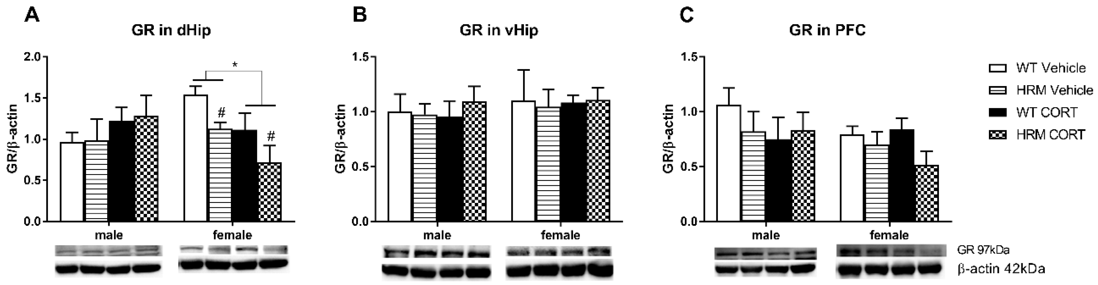 Brainsci 08 00118 g002