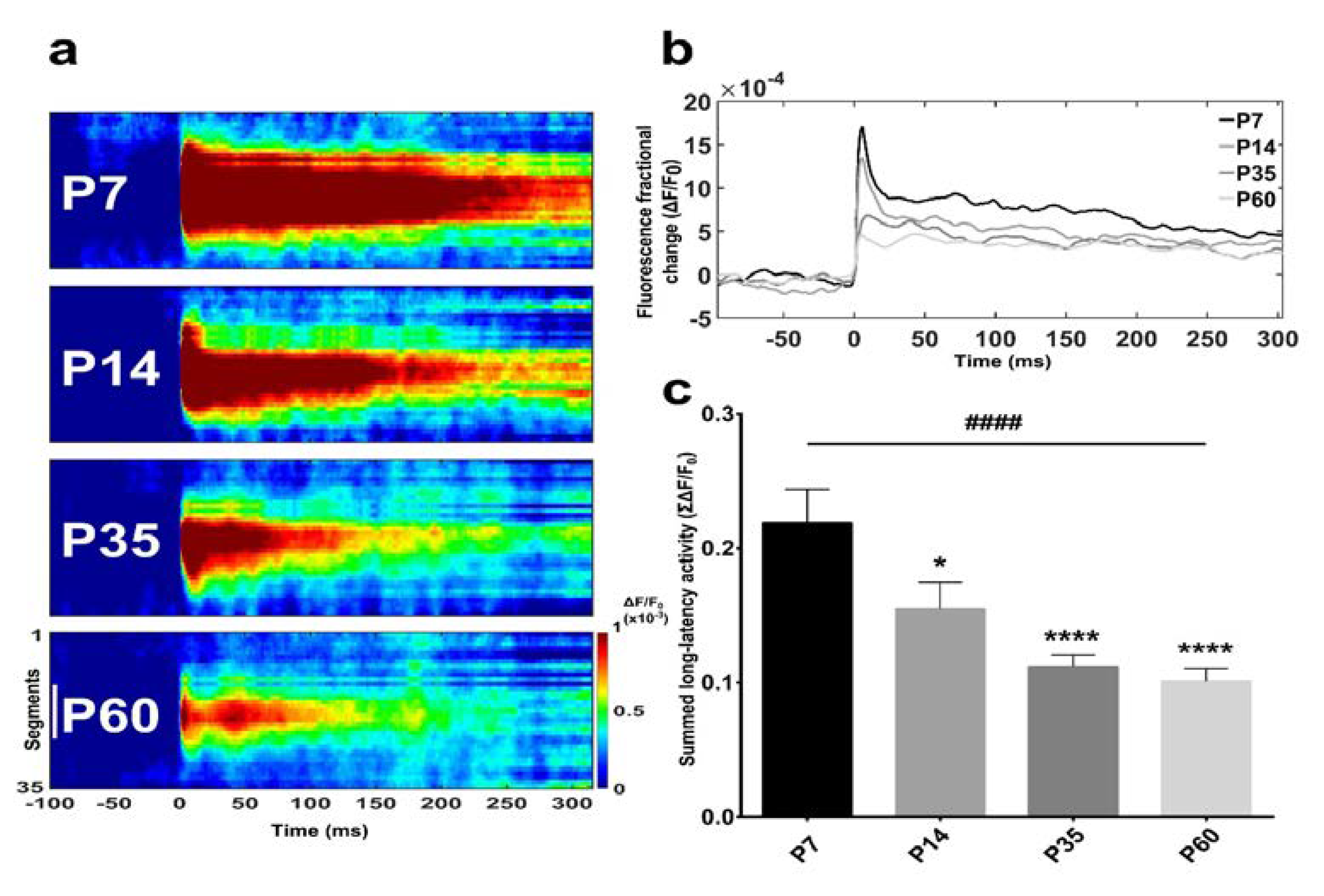 Brainsci 08 00132 g002
