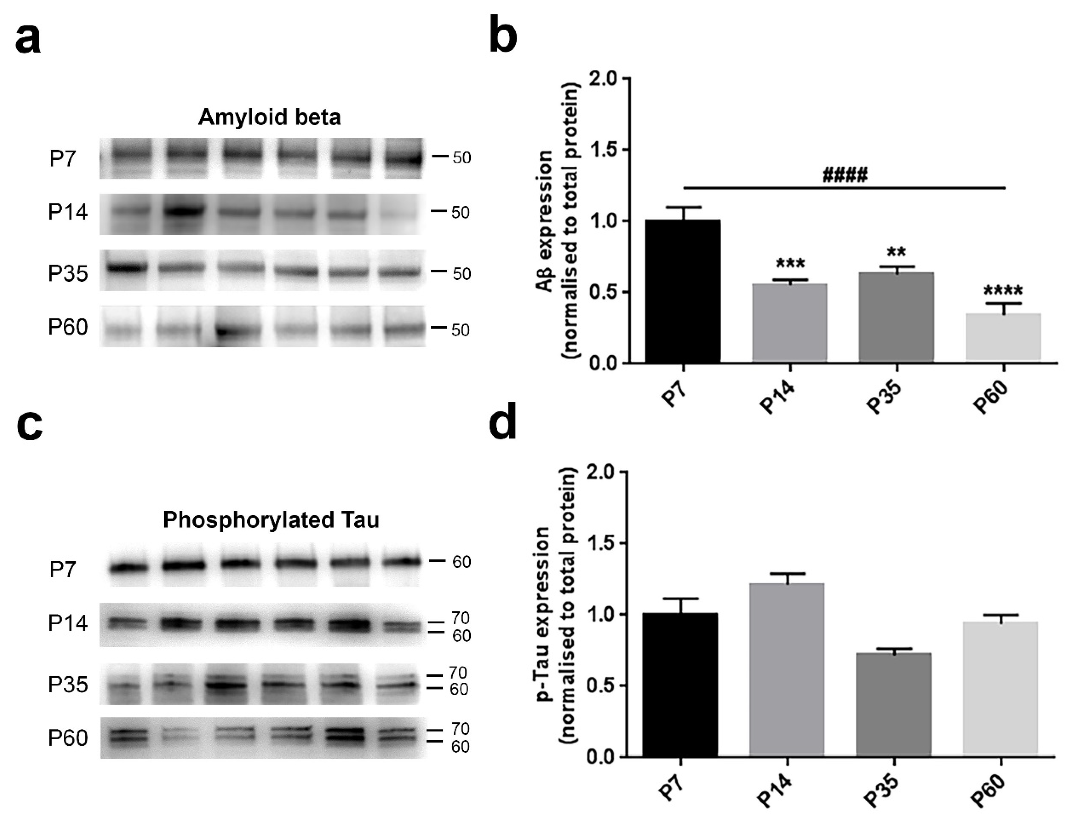 Brainsci 08 00132 g005