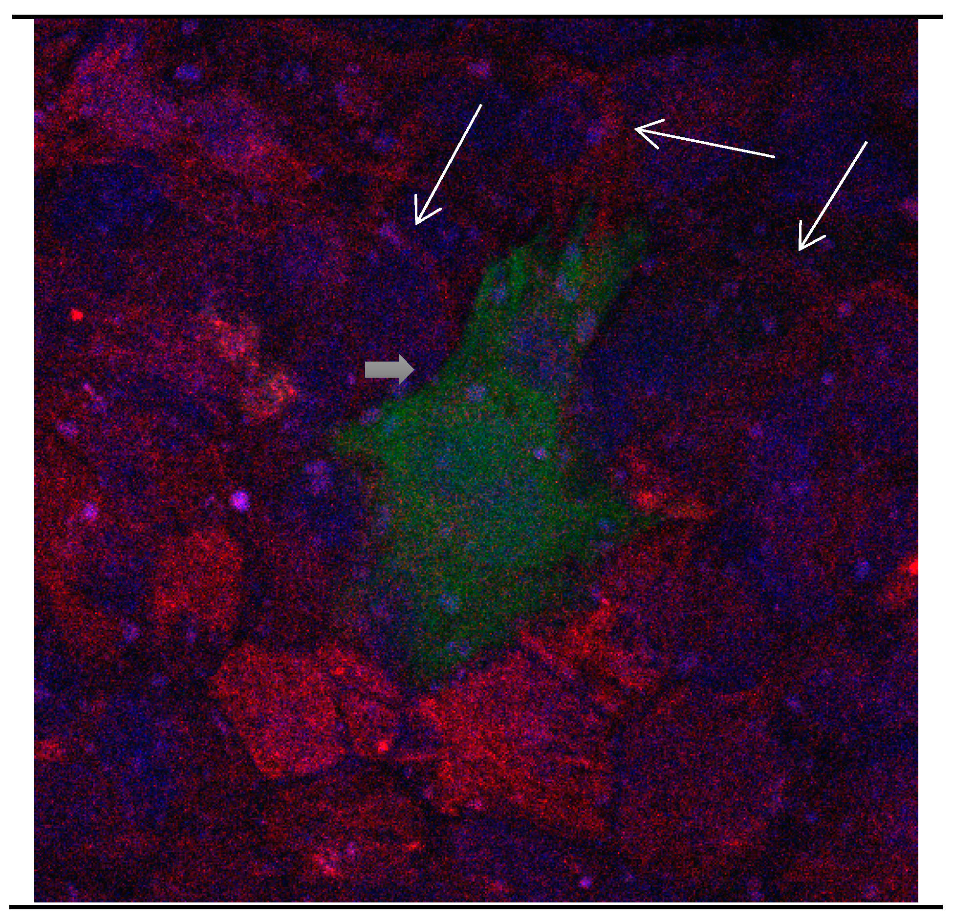 Brainsci 08 00143 g003