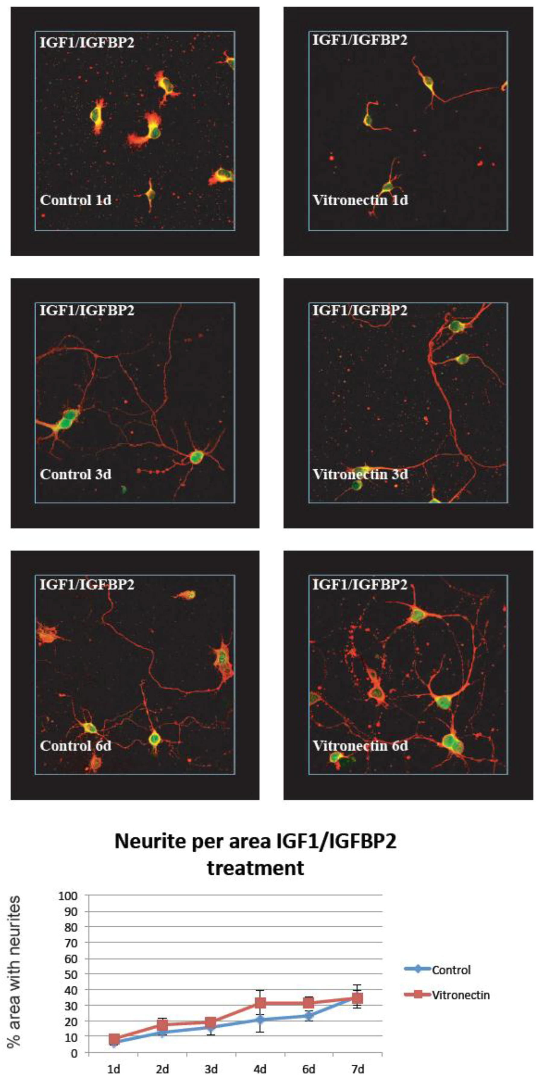 Brainsci 08 00151 g003