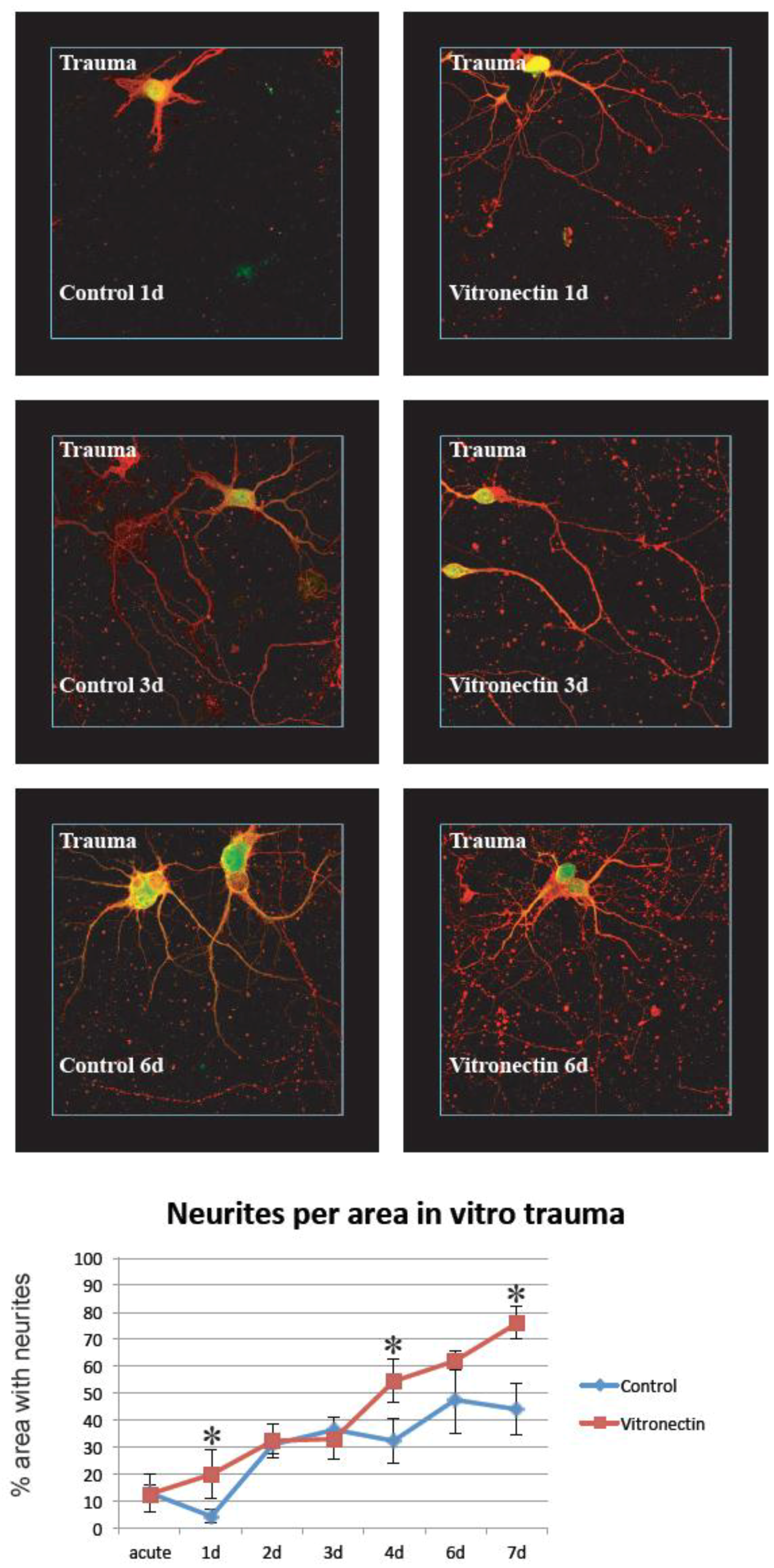 Brainsci 08 00151 g004