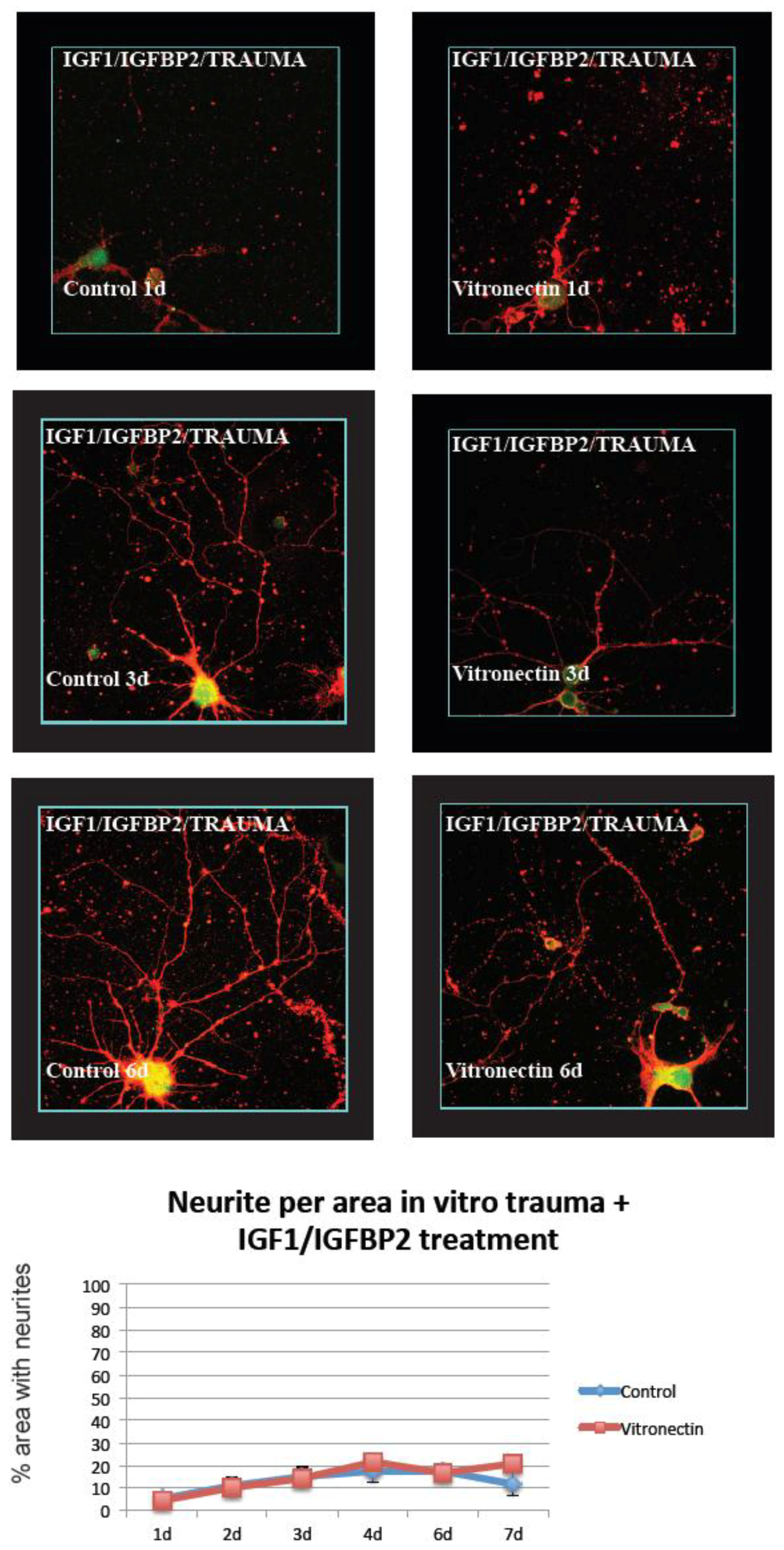 Brainsci 08 00151 g005