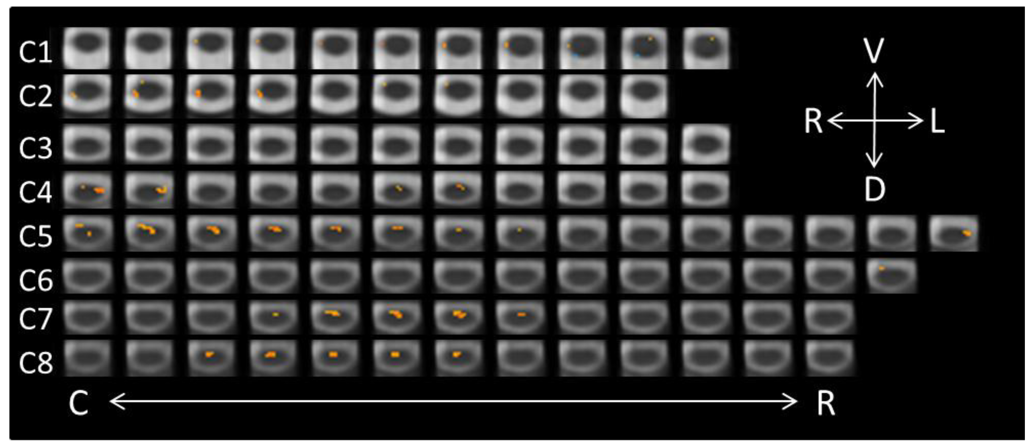 Brainsci 08 00156 g002