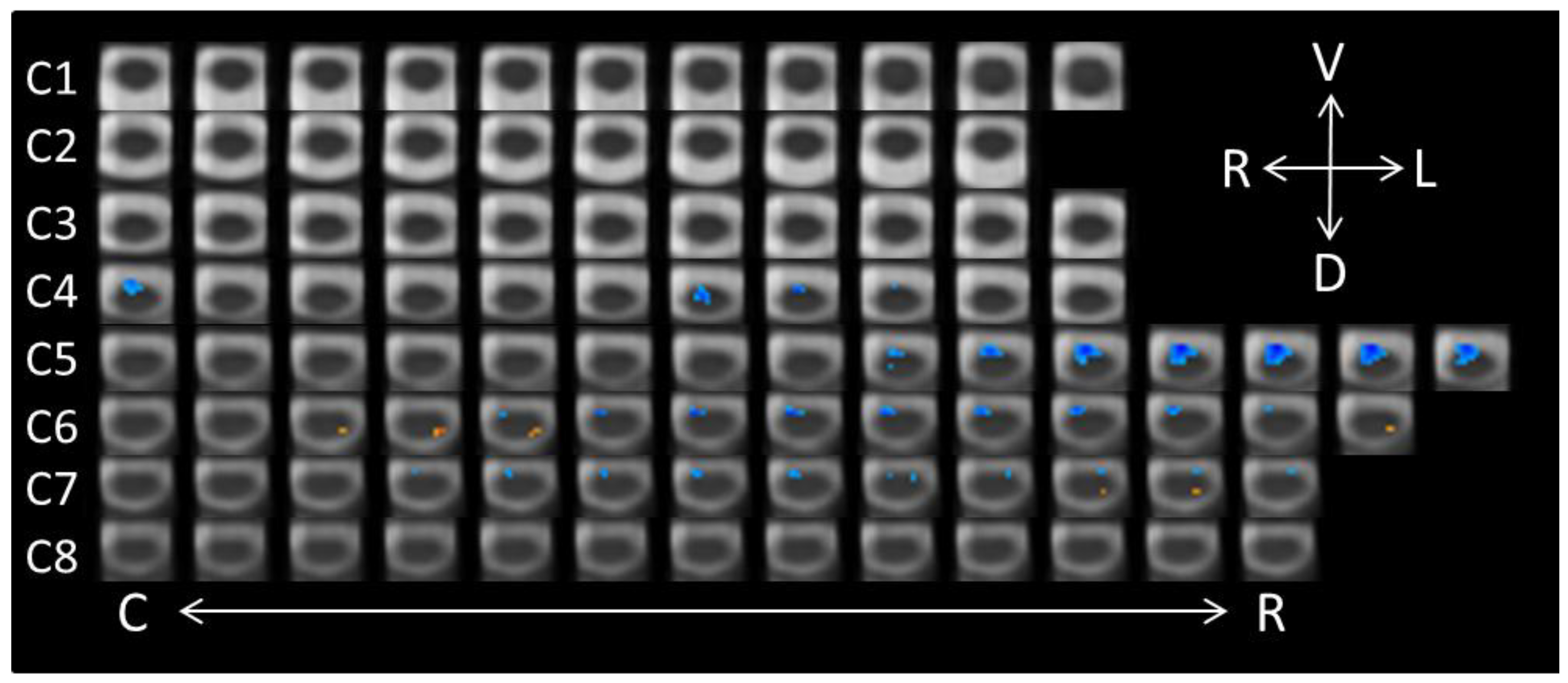 Brainsci 08 00156 g003
