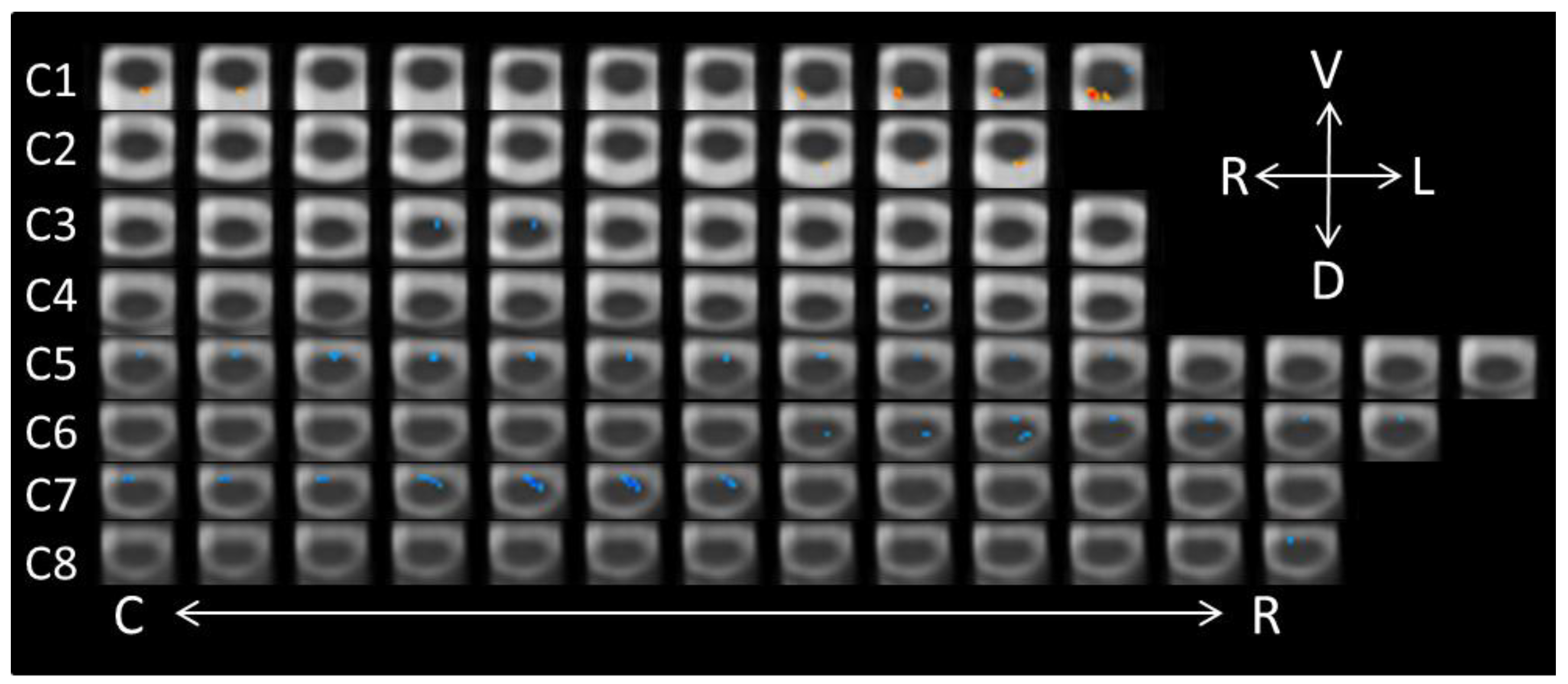 Brainsci 08 00156 g004