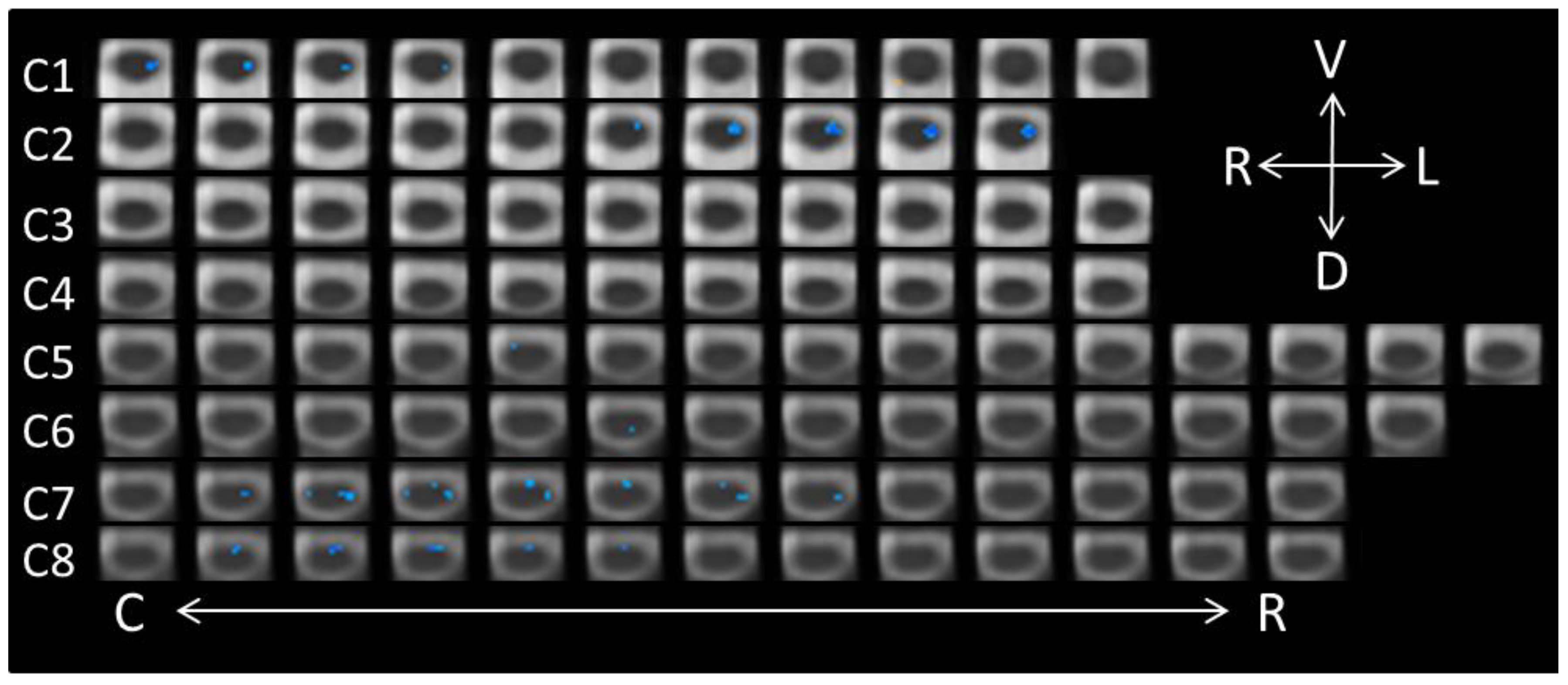 Brainsci 08 00156 g005