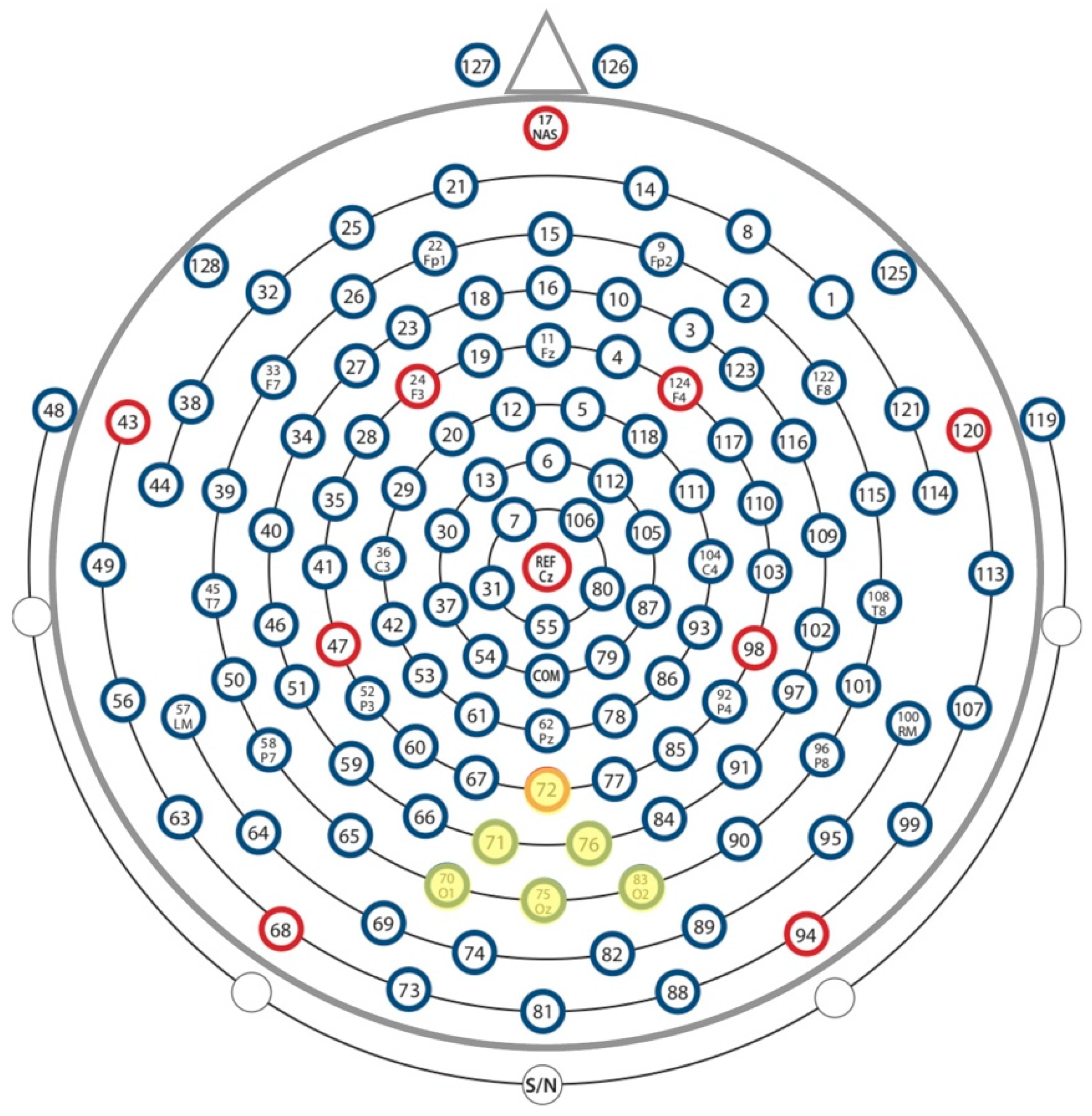 Brainsci 08 00160 g002 Brainsci 08 00160 g002
