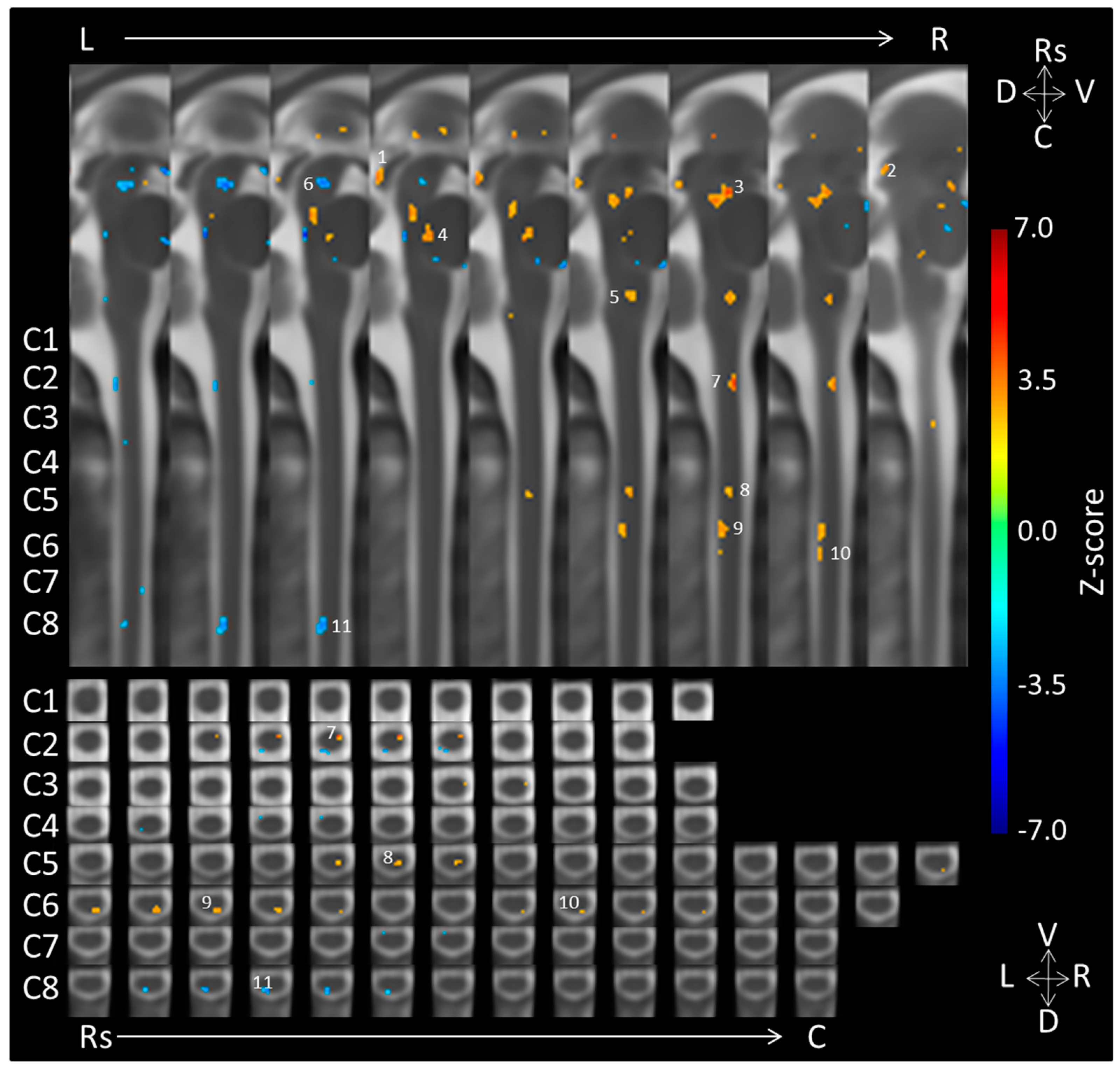 Brainsci 08 00165 g001 Brainsci 08 00165 g001