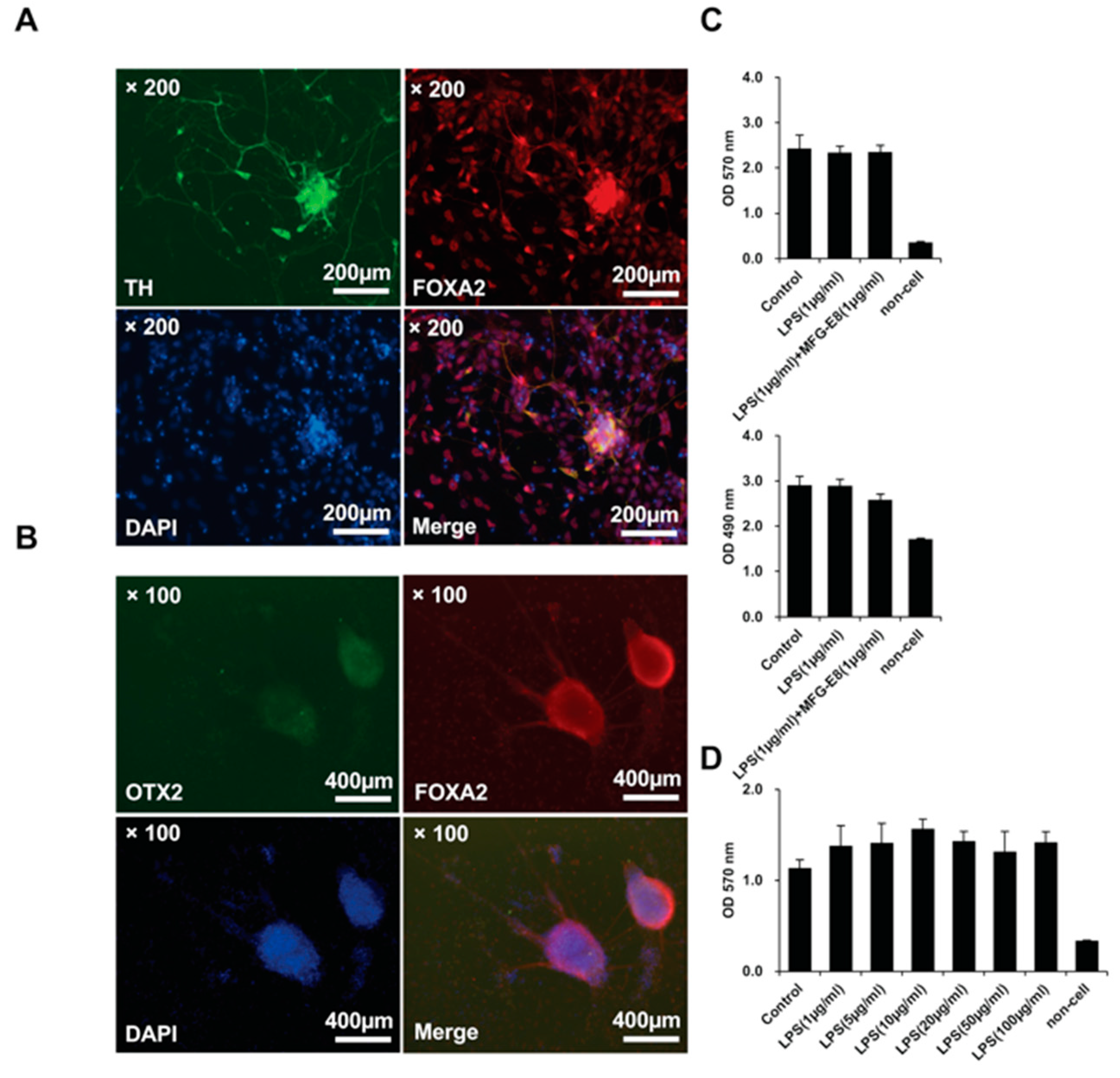 Brainsci 08 00167 g005 Brainsci 08 00167 g005
