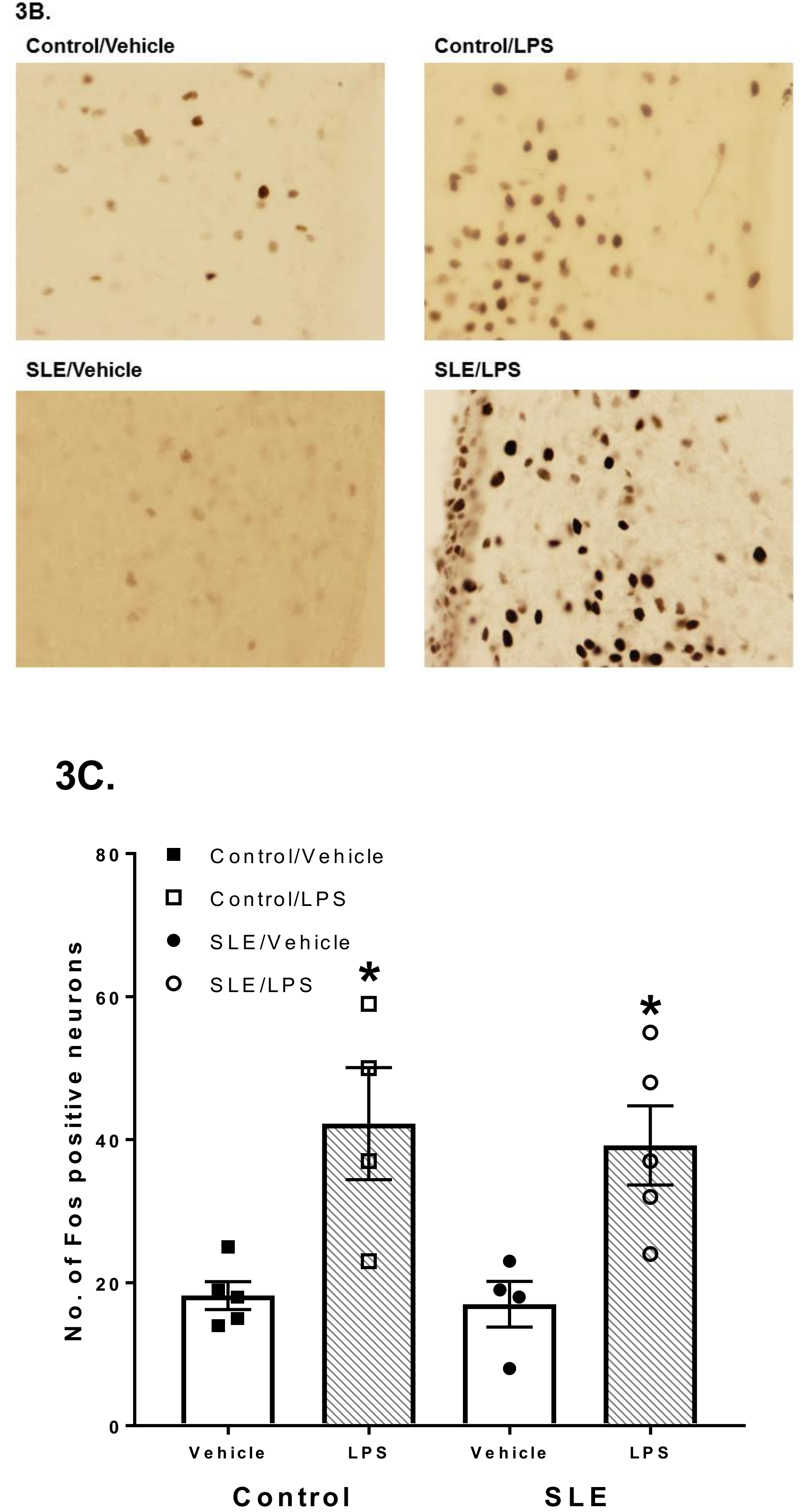 Brainsci 08 00184 g003b