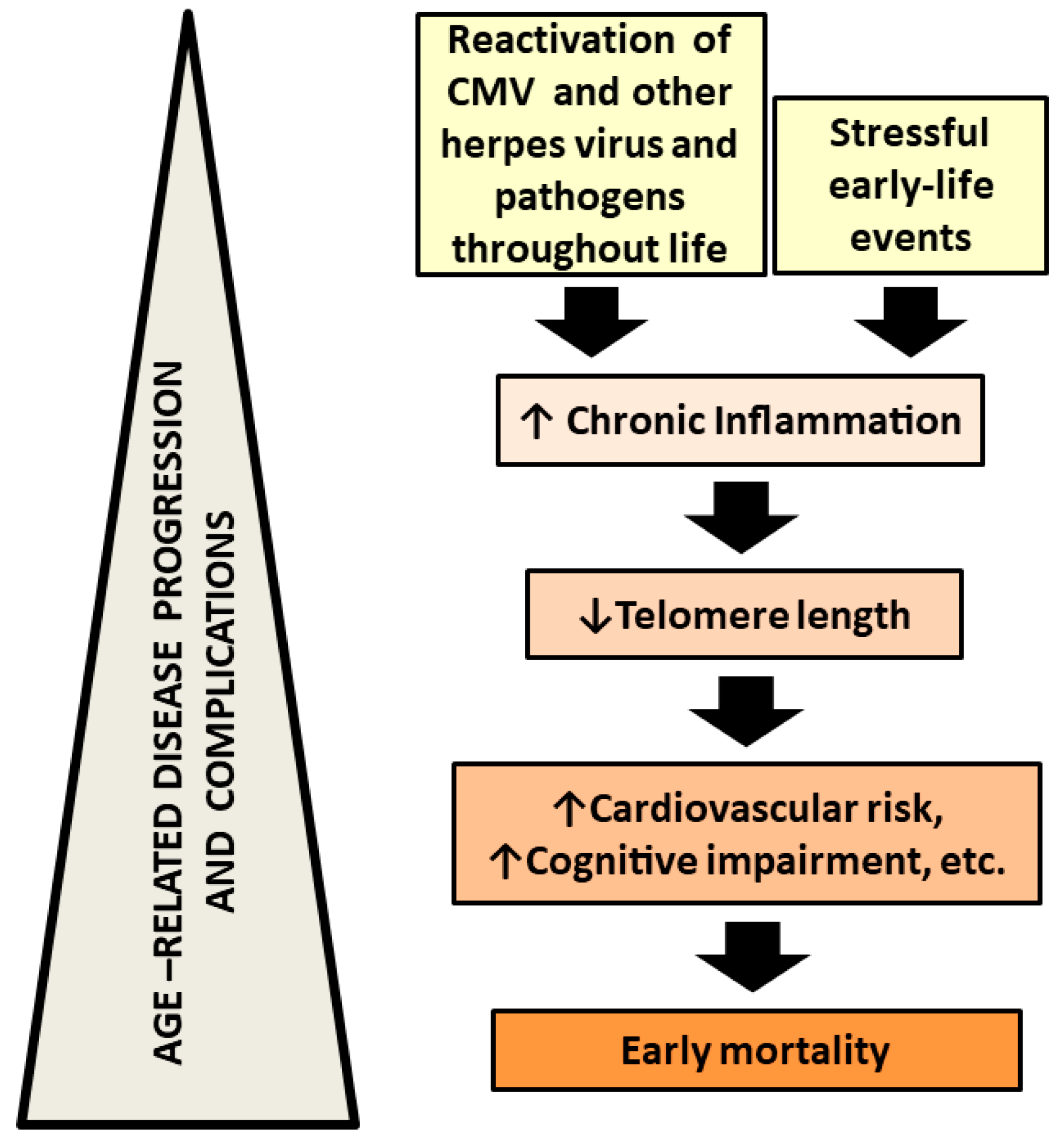 Brainsci 08 00188 g002 Brainsci 08 00188 g002