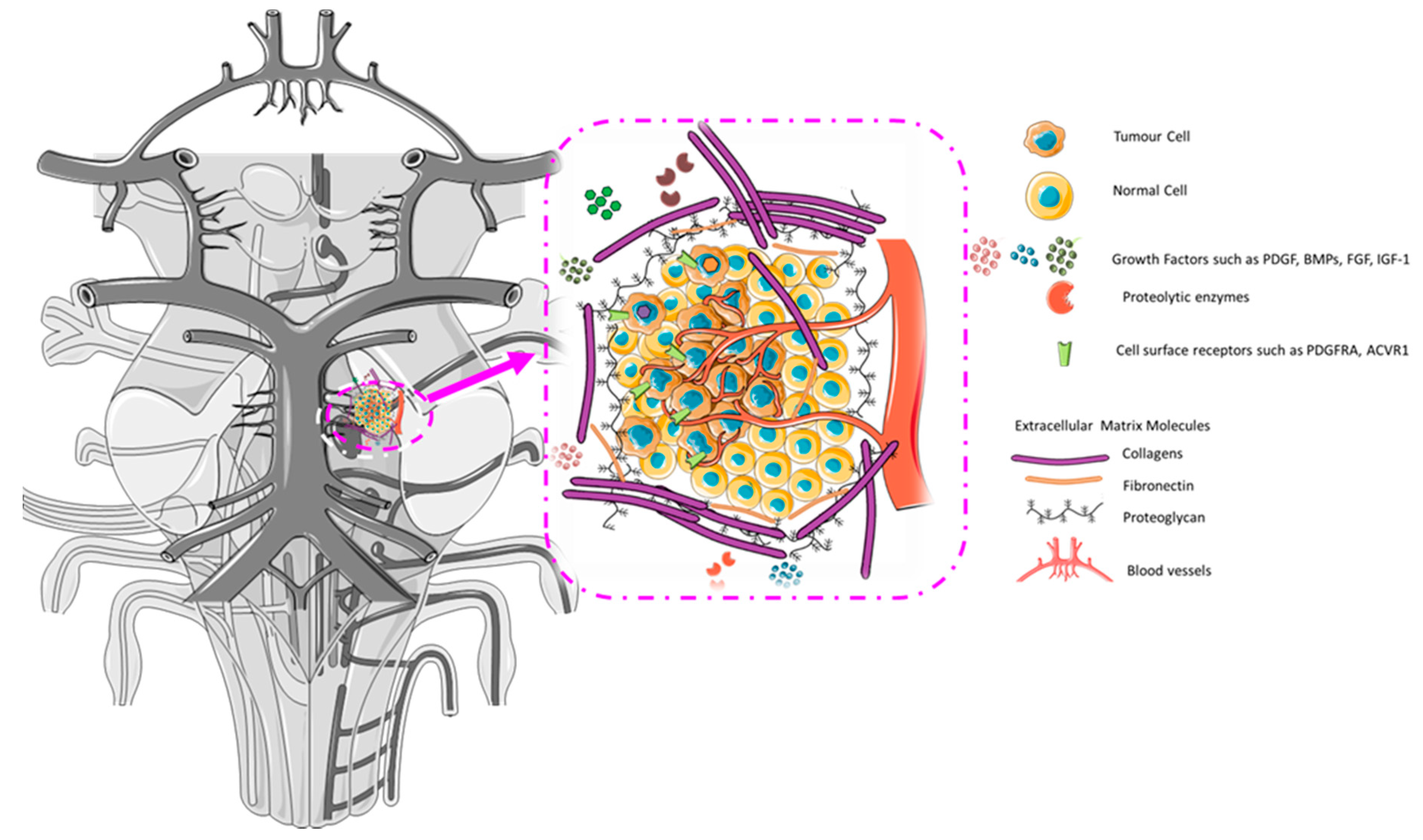 Brainsci 08 00200 g005 Brainsci 08 00200 g005