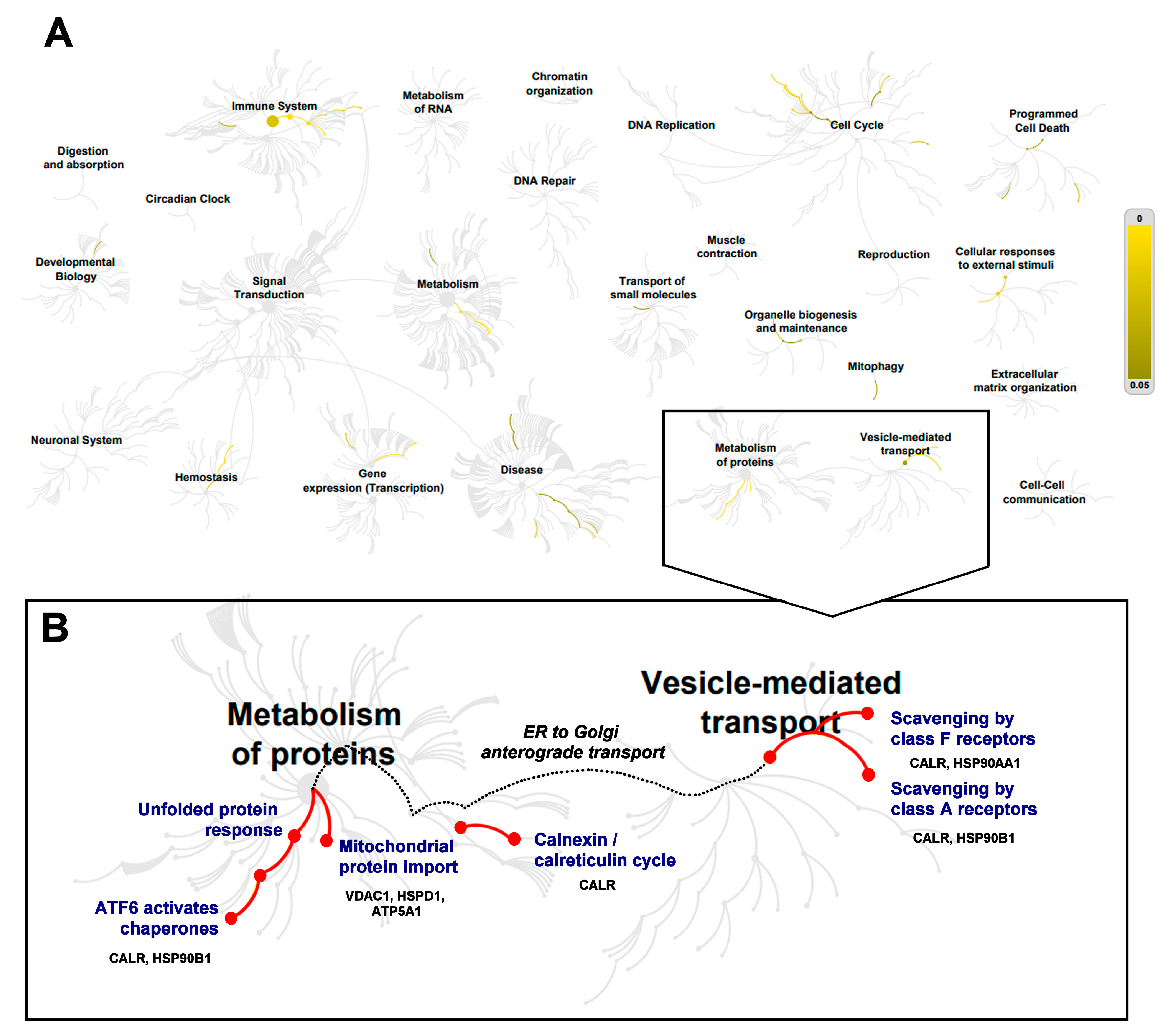 Brainsci 08 00212 g004