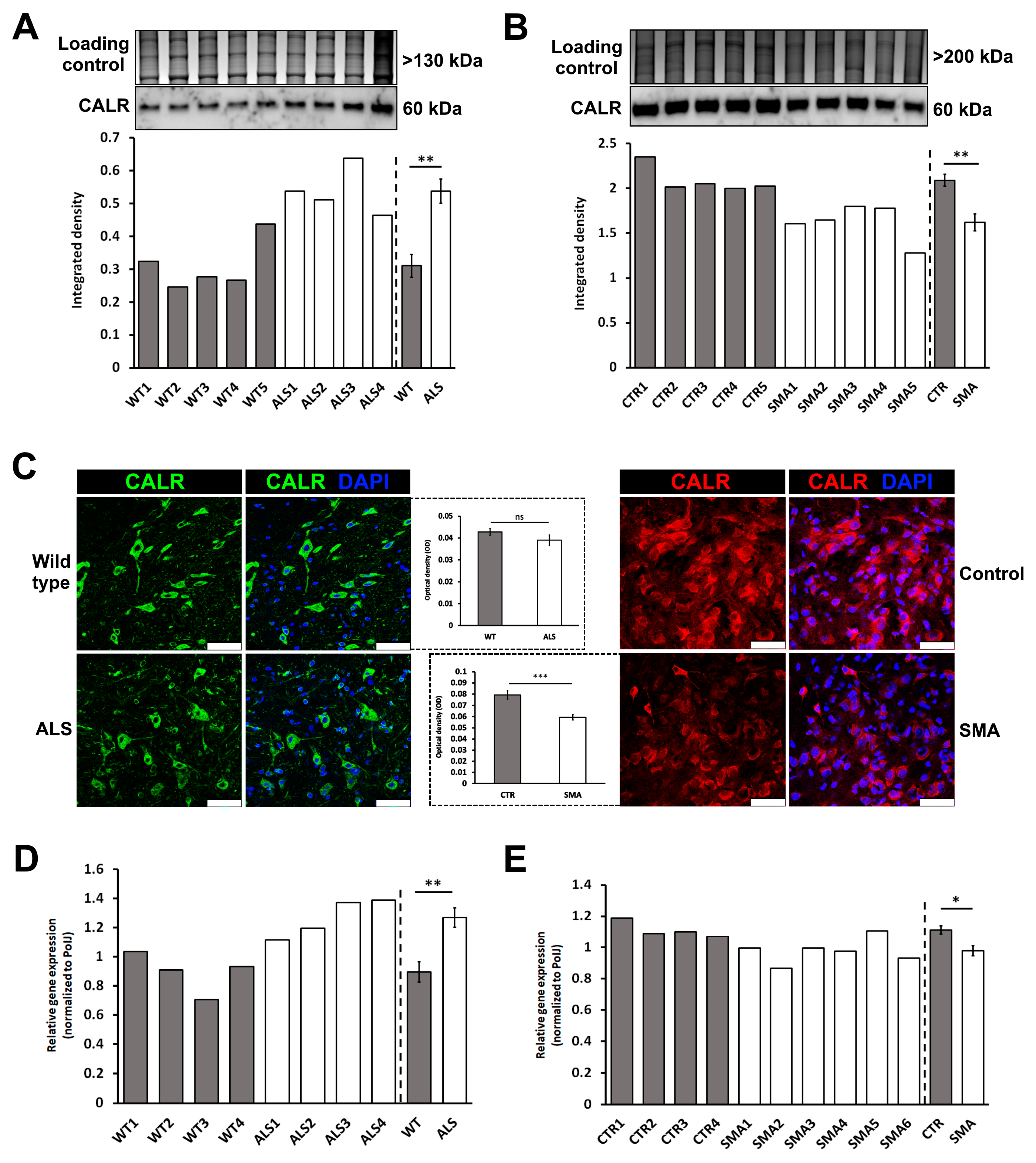 Brainsci 08 00212 g005