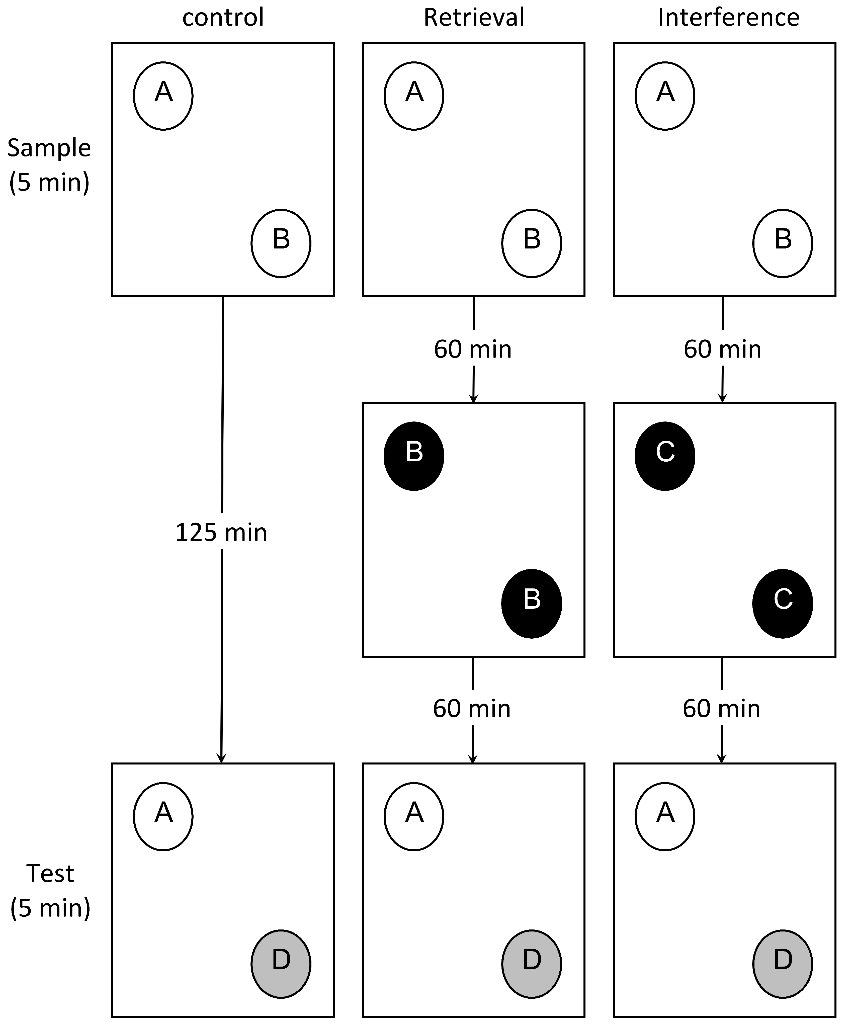 Brainsci 08 00215 g001 Brainsci 08 00215 g001