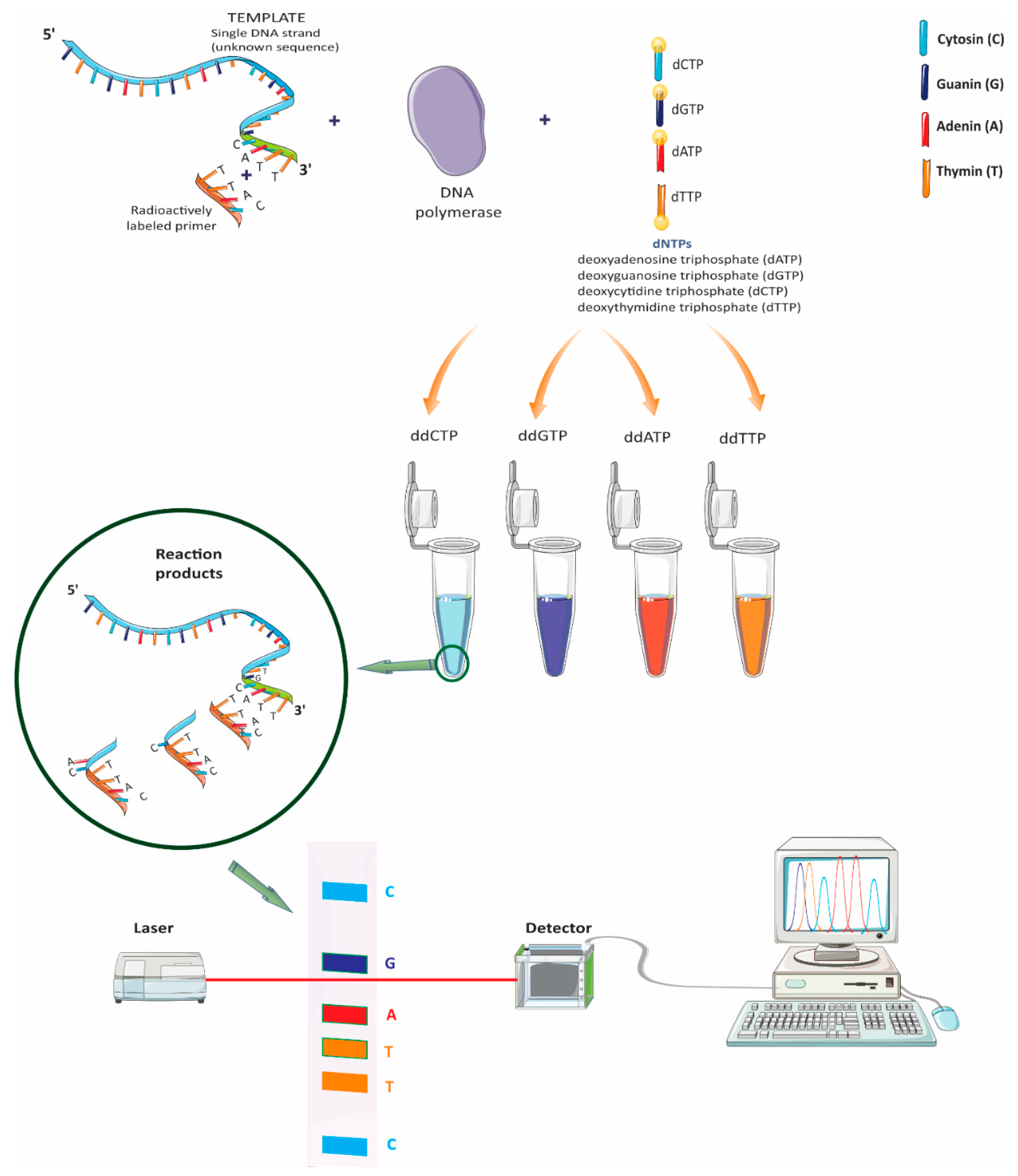 Brainsci 08 00222 g001