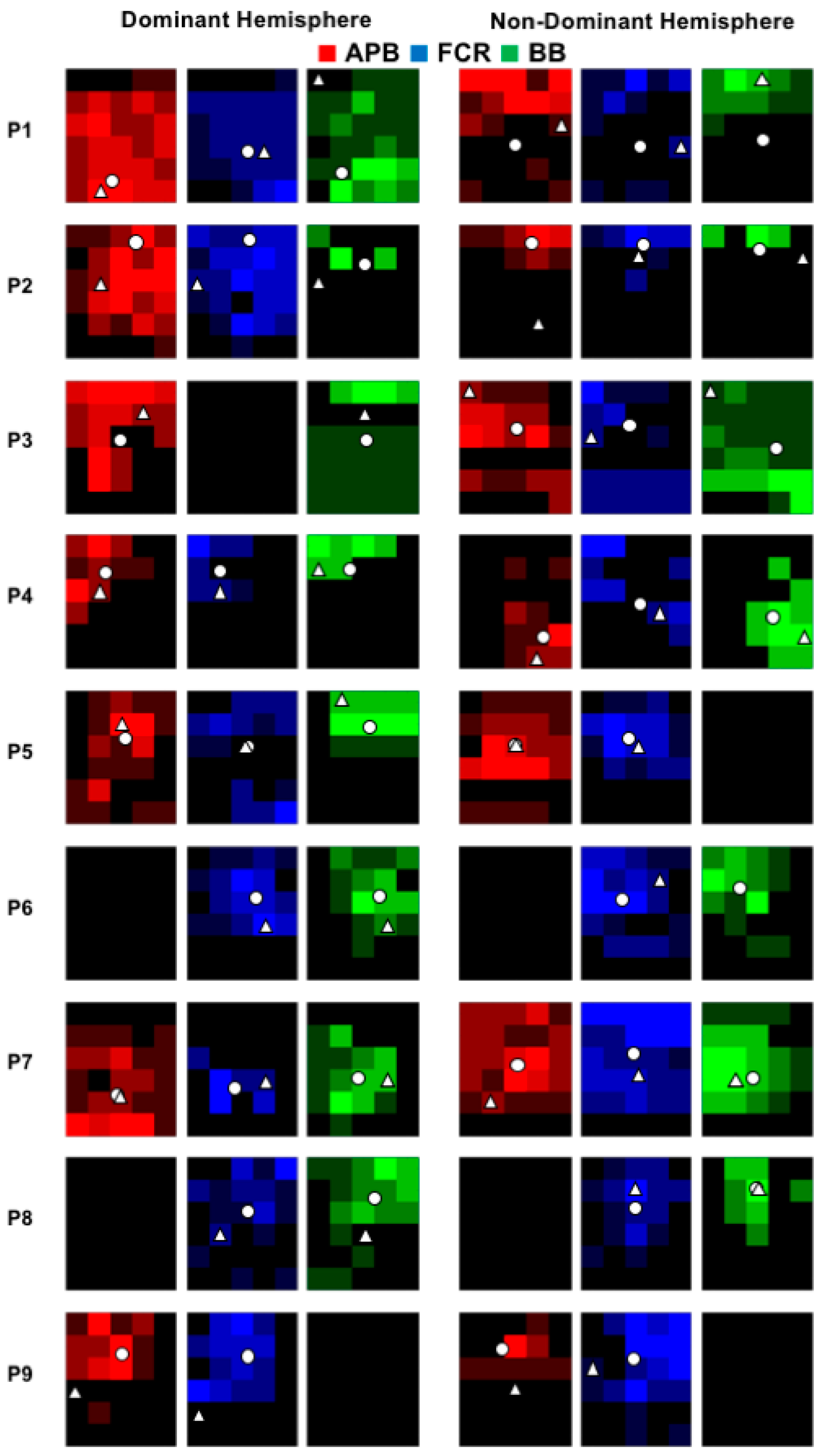 Brainsci 08 00225 g003 Brainsci 08 00225 g003