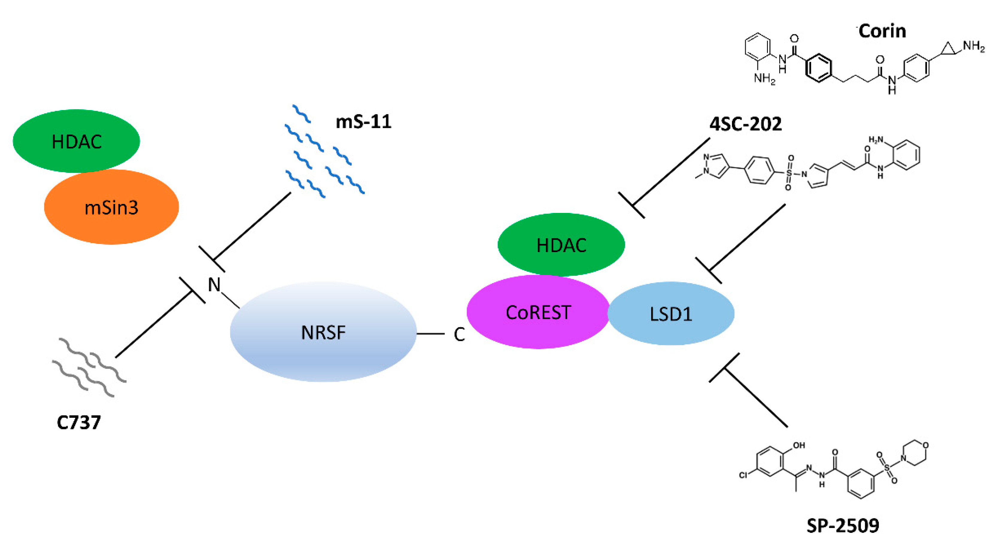 Brainsci 08 00226 g002 Brainsci 08 00226 g002