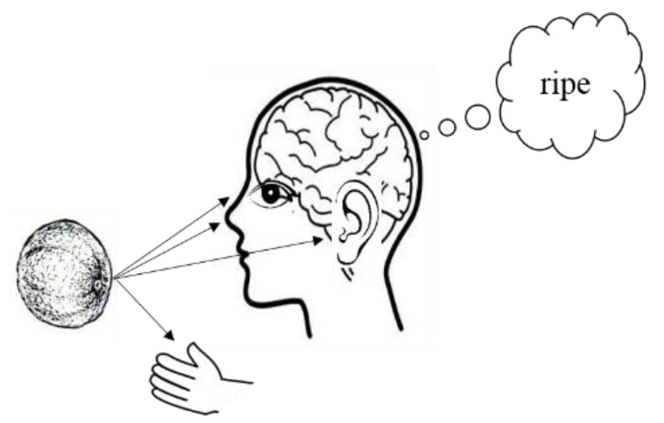 Brainsci 09 00003 g001 Brainsci 09 00003 g001