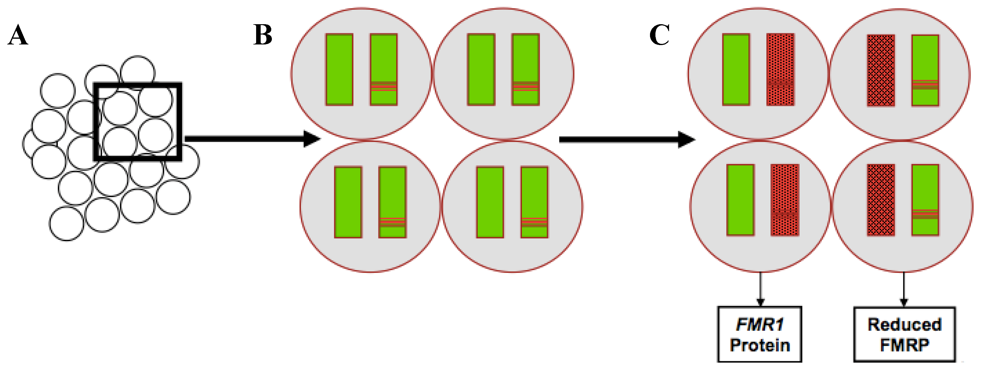 Brainsci 09 00011 g001