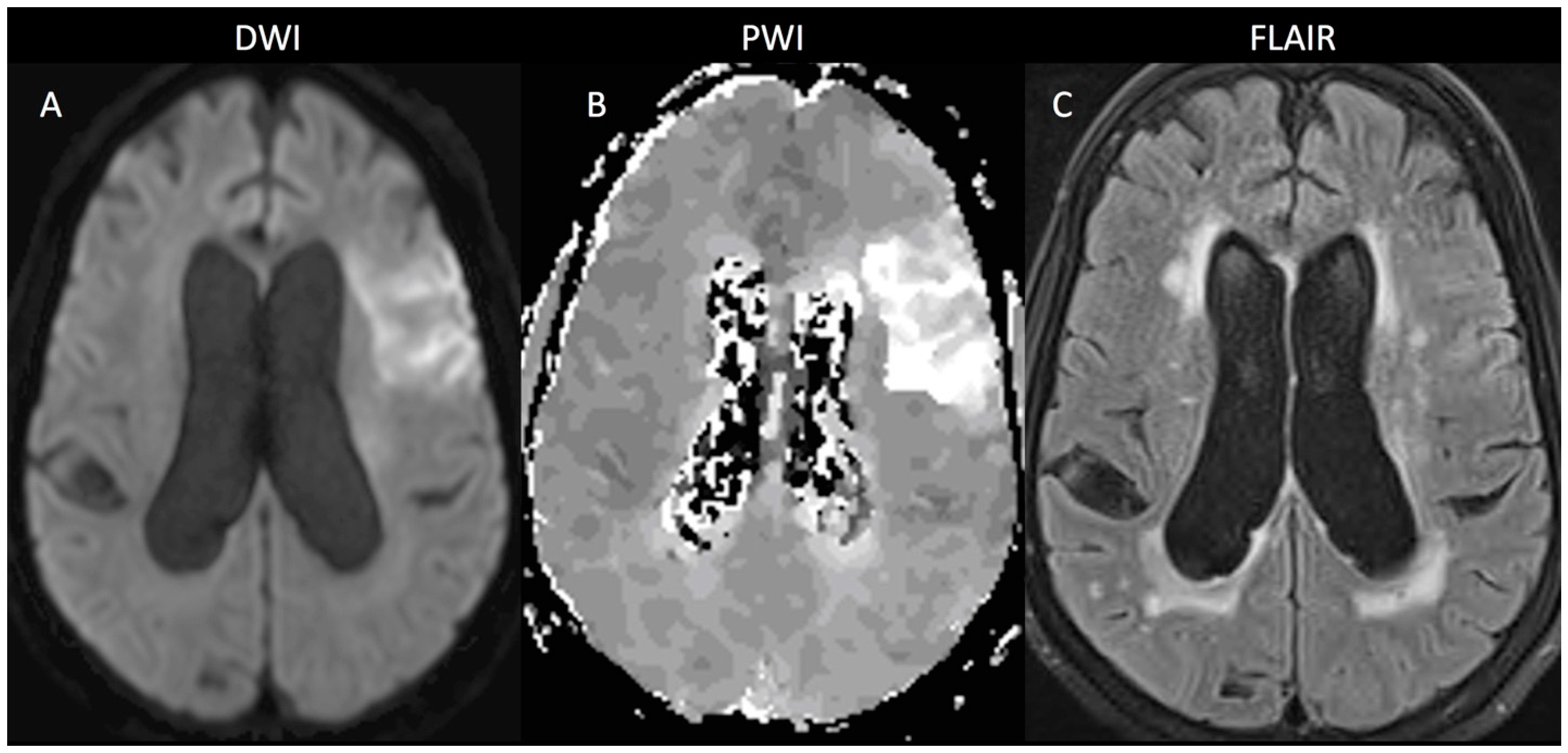 Brainsci 09 00016 g001 Brainsci 09 00016 g001
