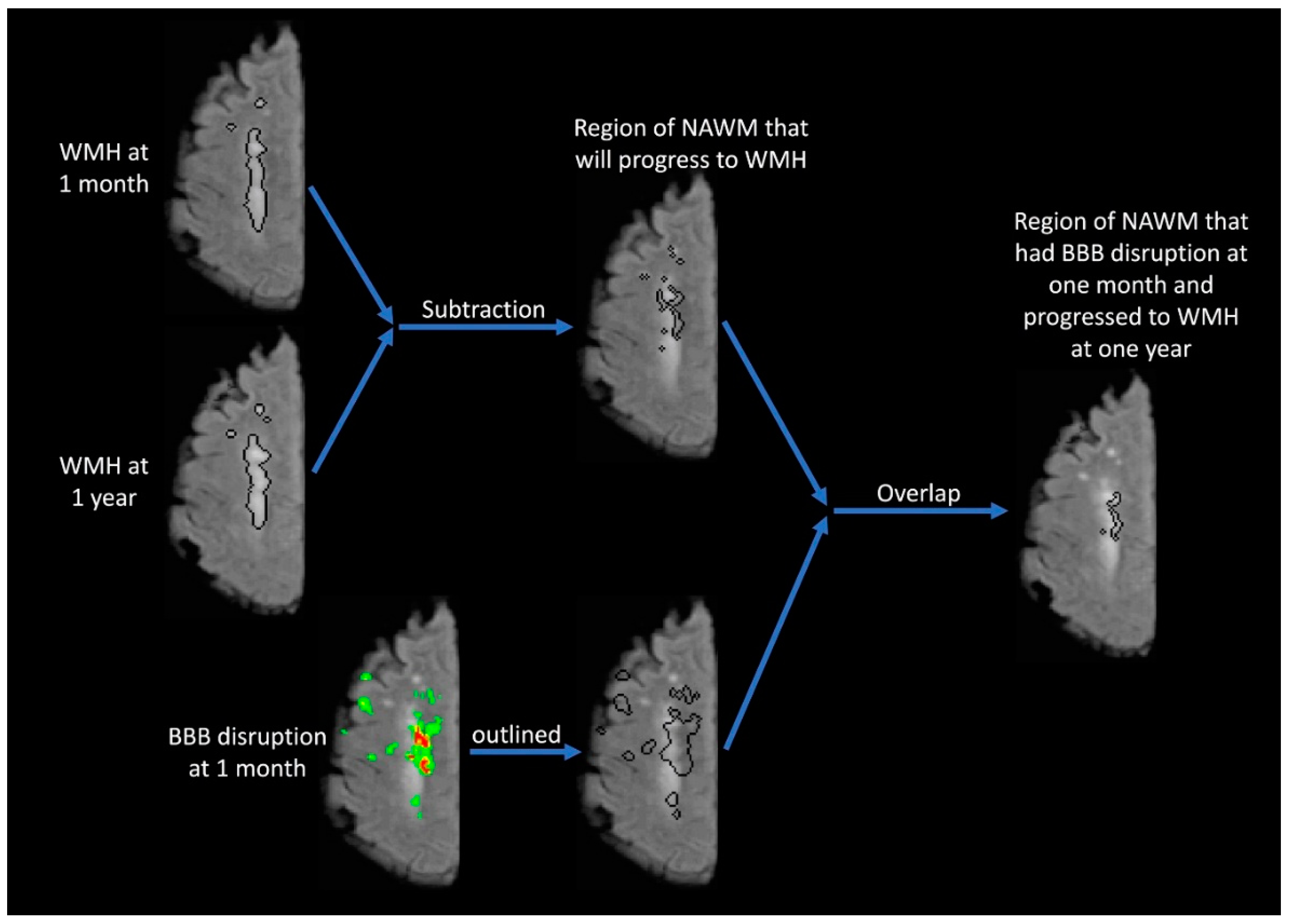 Brainsci 09 00016 g003 Brainsci 09 00016 g003