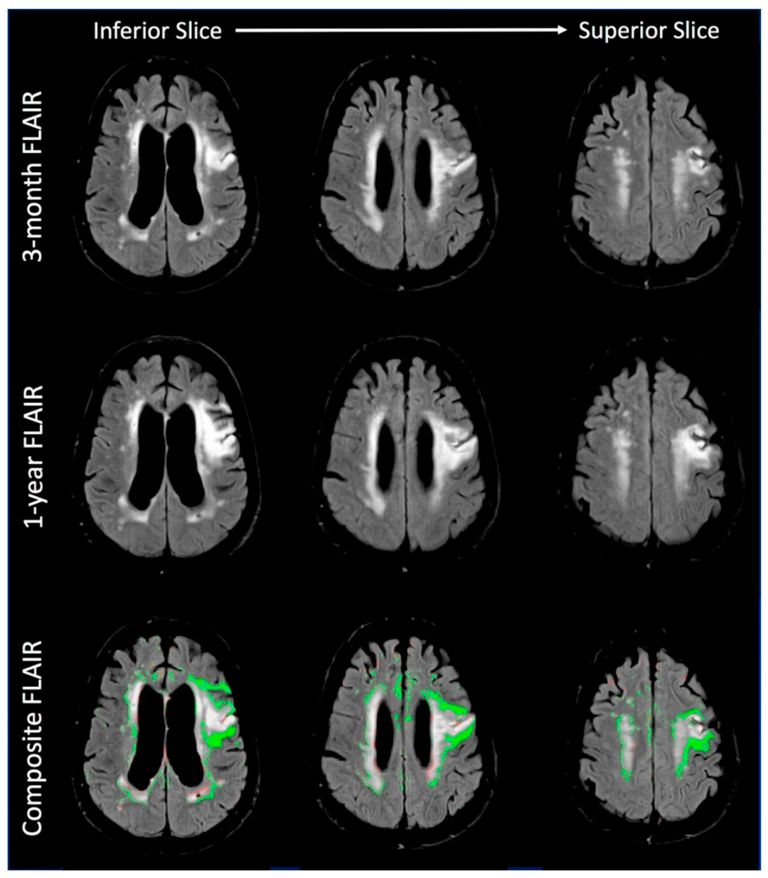 Brainsci 09 00016 g004 Brainsci 09 00016 g004
