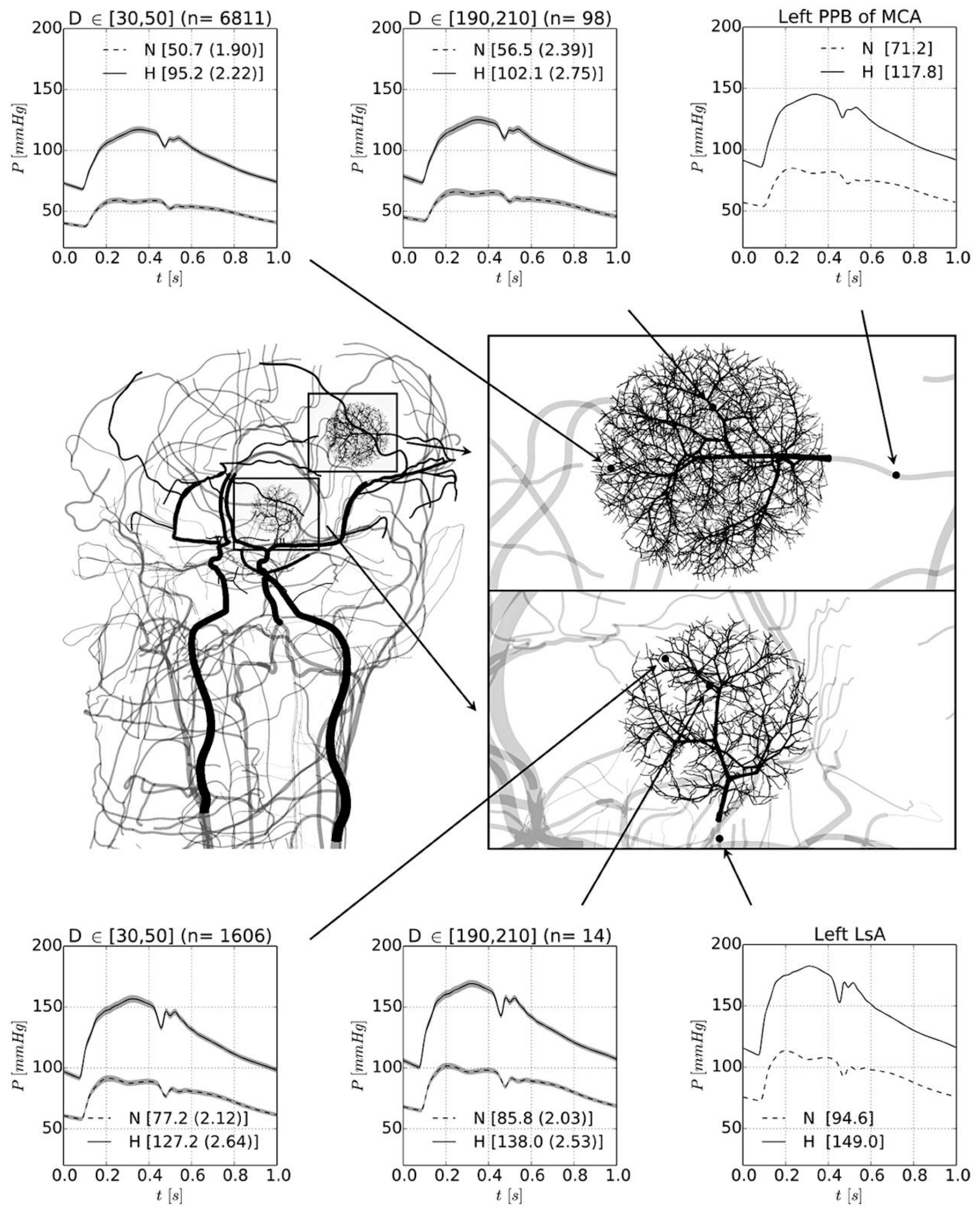 Brainsci 09 00021 g002