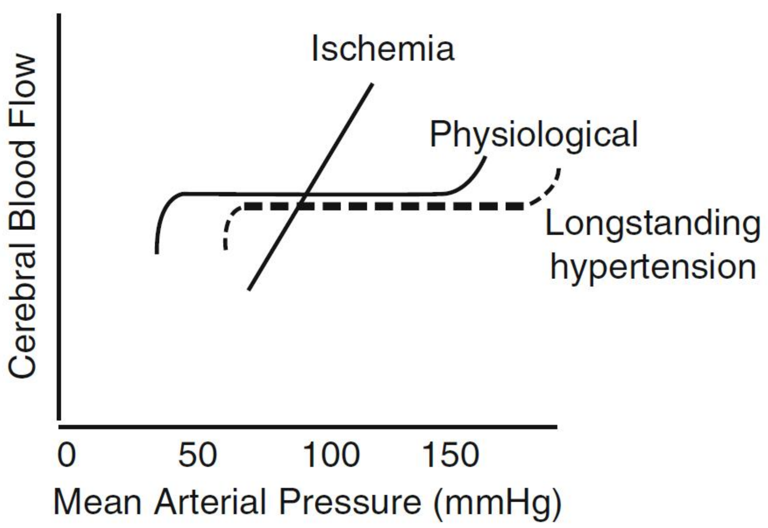 Brain Sciences Free Full Text Blood Pressure Gradients In The Brain Their Importance To Understanding Pathogenesis Of Cerebral Small Vessel Disease Html Brain Sciences Free Full Text Blood Pressure Gradients In The Brain Their Importance To Understanding Pathogenesis Of Cerebral Small Vessel Disease Html