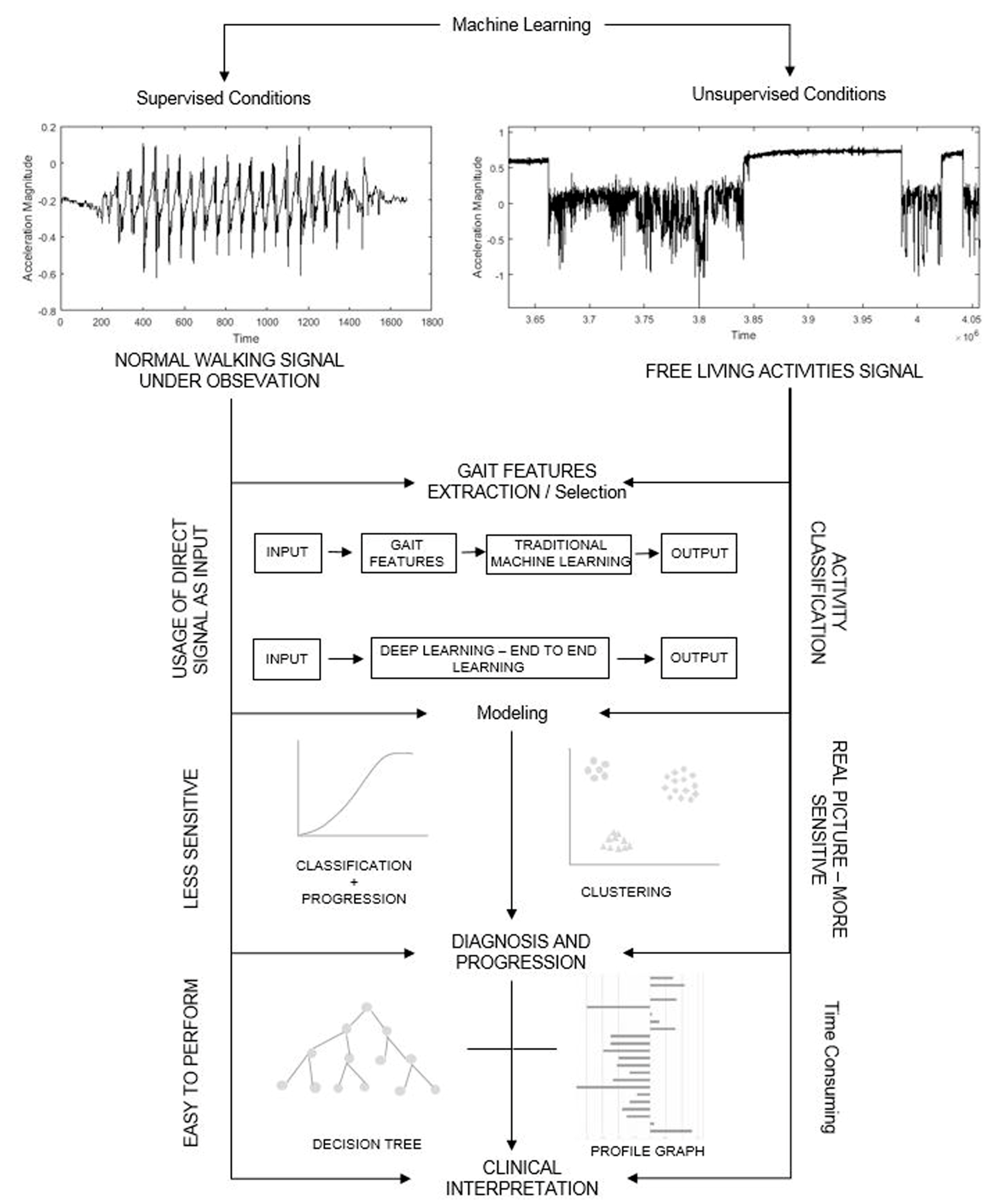 Brainsci 09 00034 g002 550
