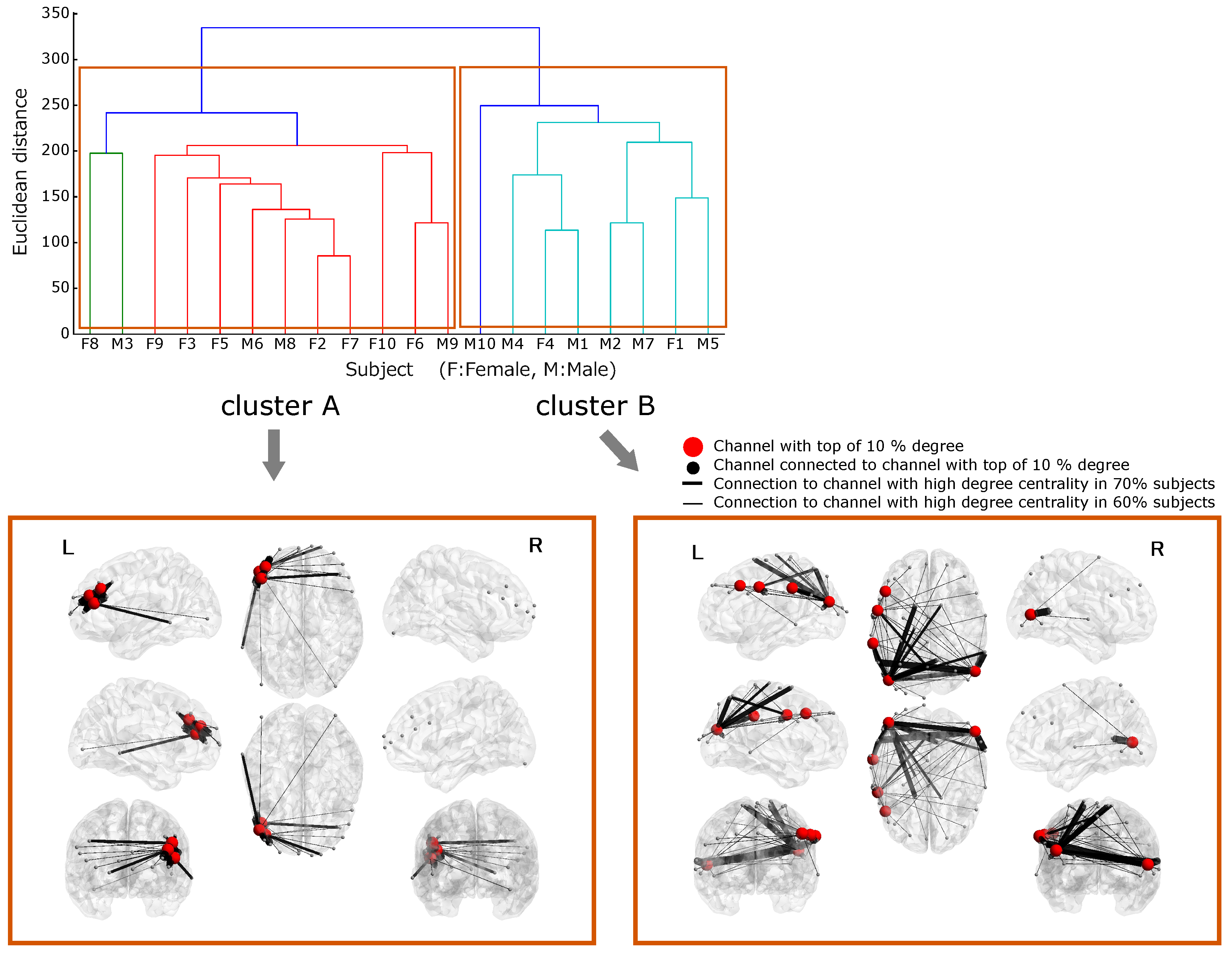 Brainsci 09 00043 g004 Brainsci 09 00043 g004