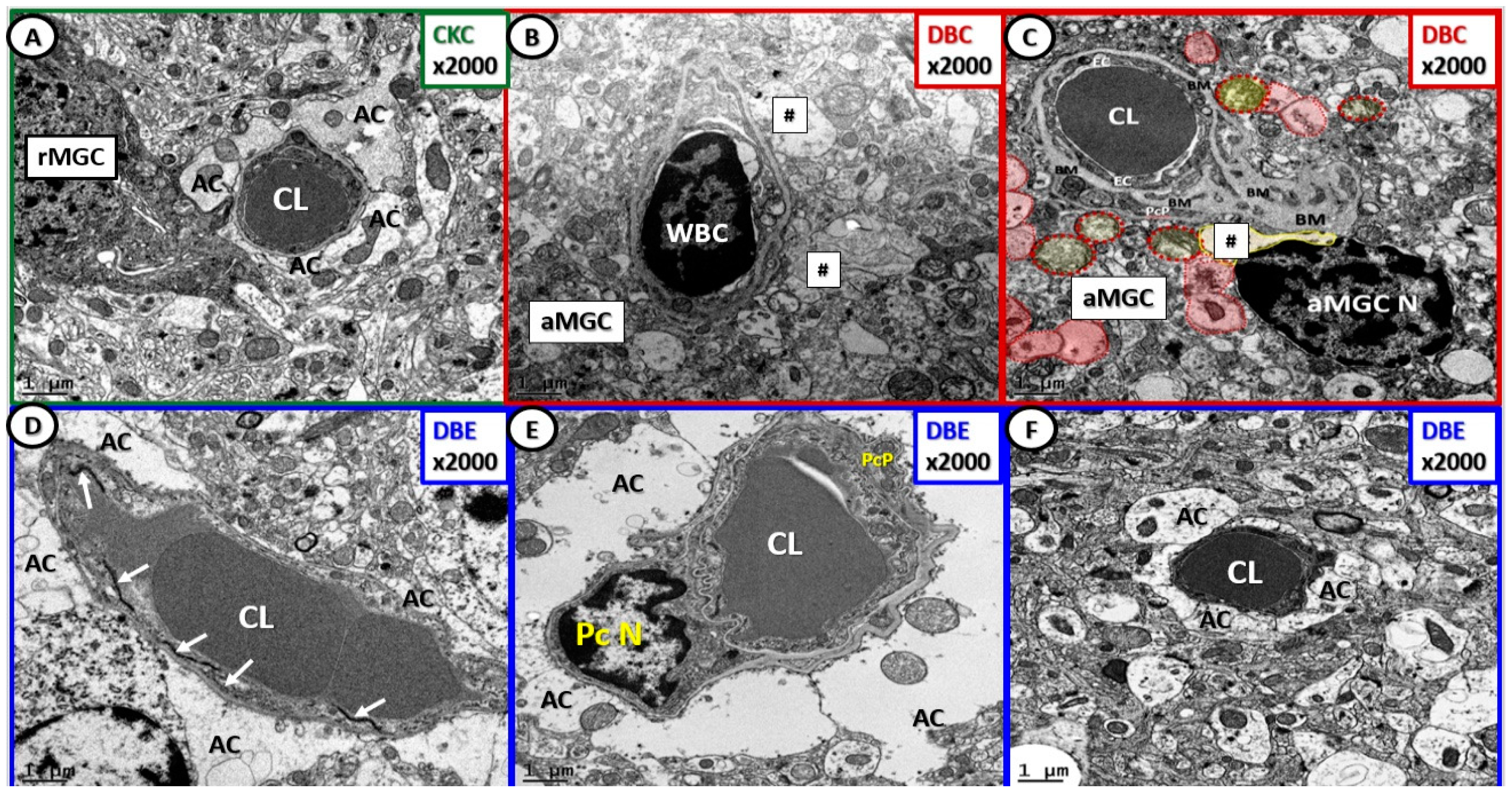 Brainsci 09 00057 g003