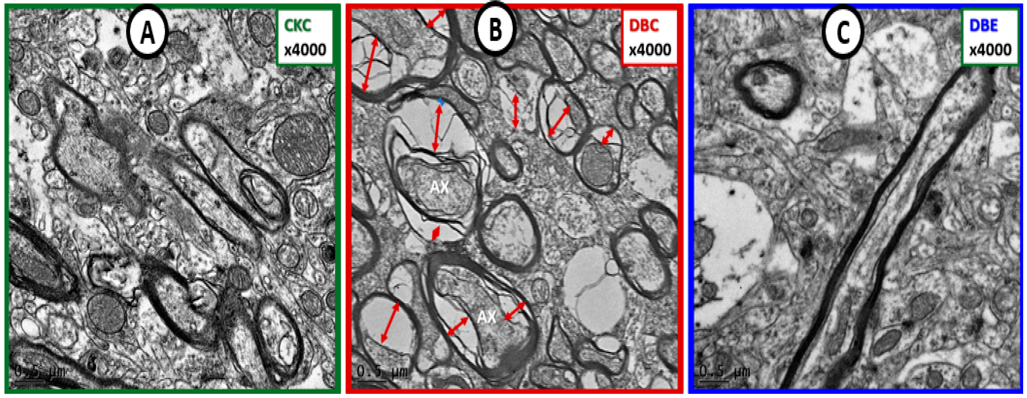 Brainsci 09 00057 g009