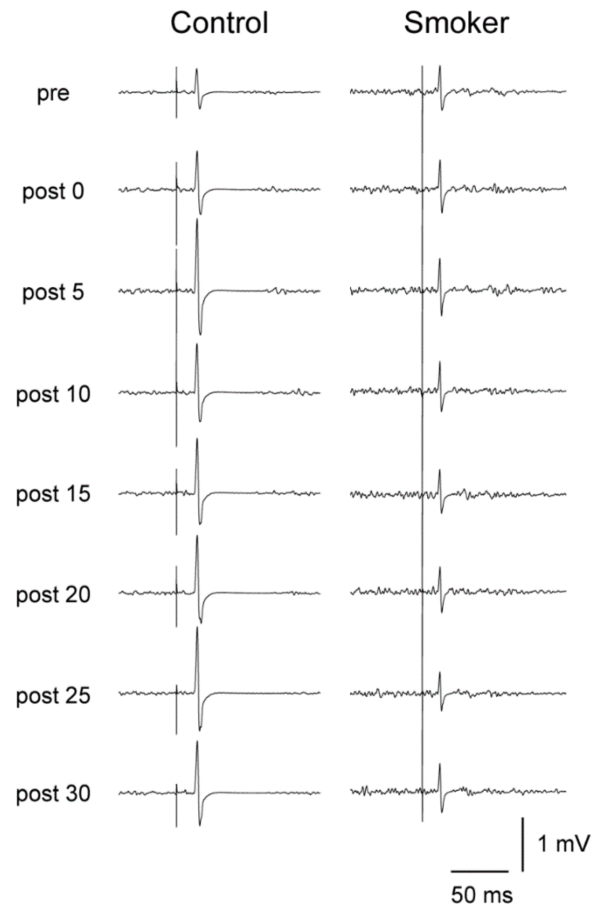 Brainsci 09 00062 g002