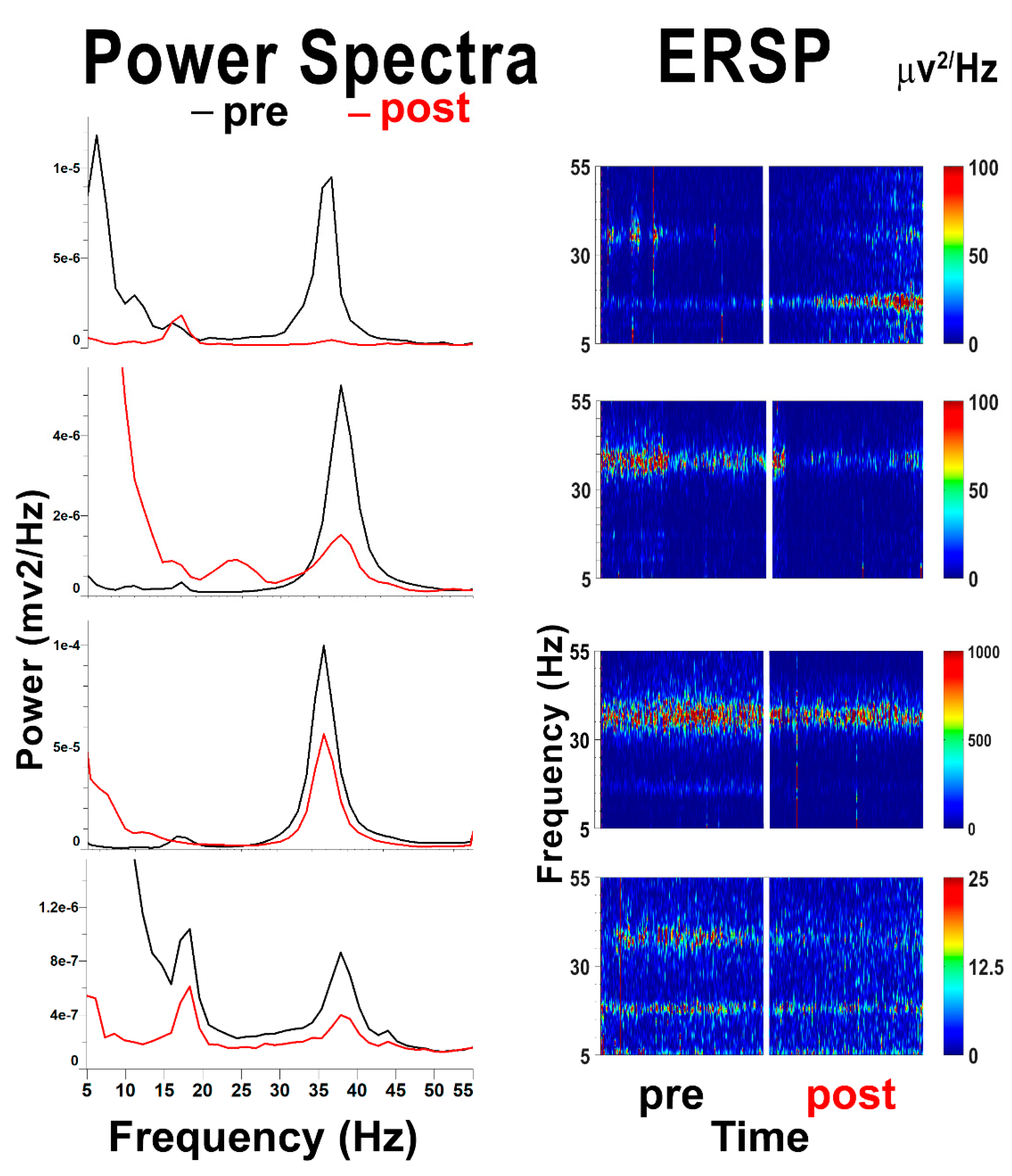 Brainsci 09 00064 g003