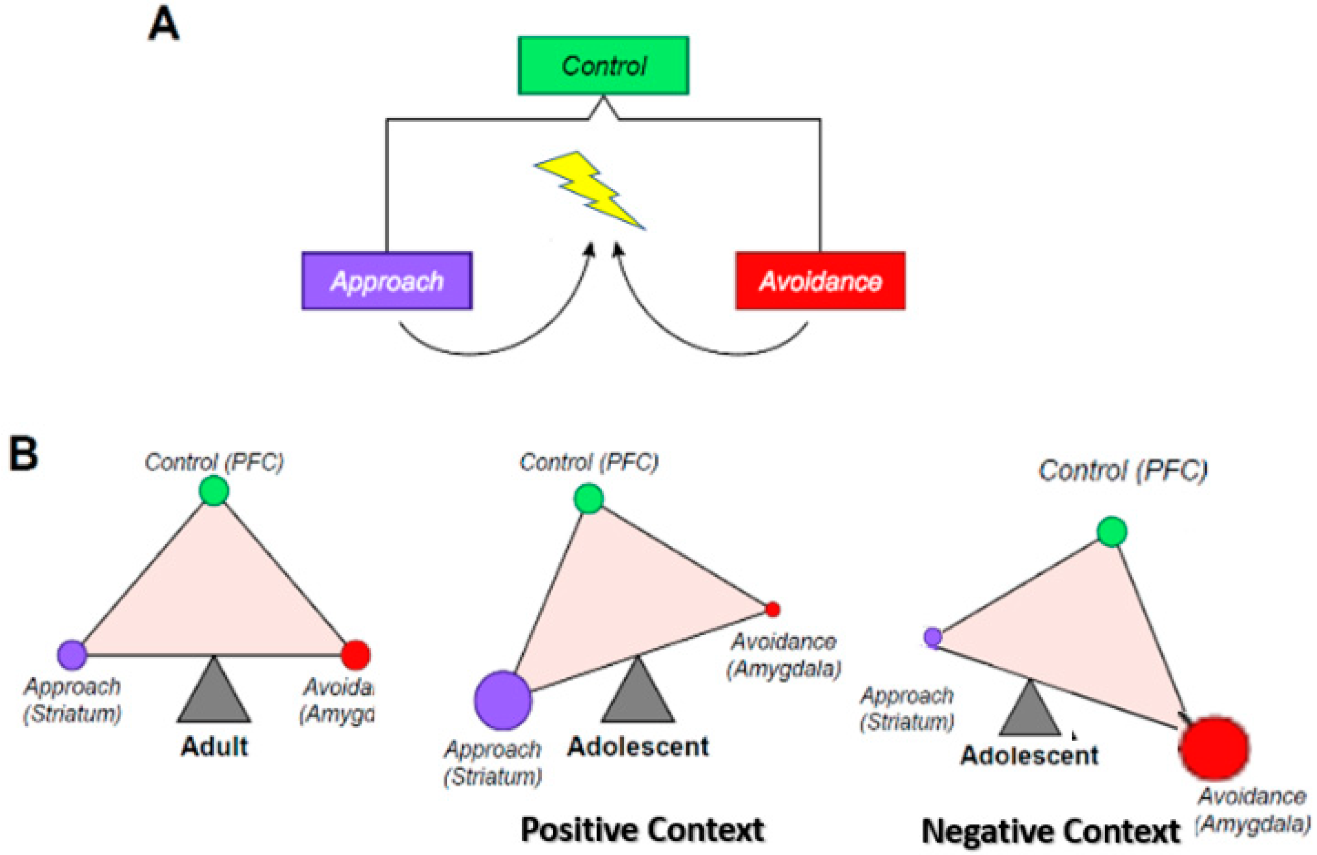 Brainsci 09 00067 g001