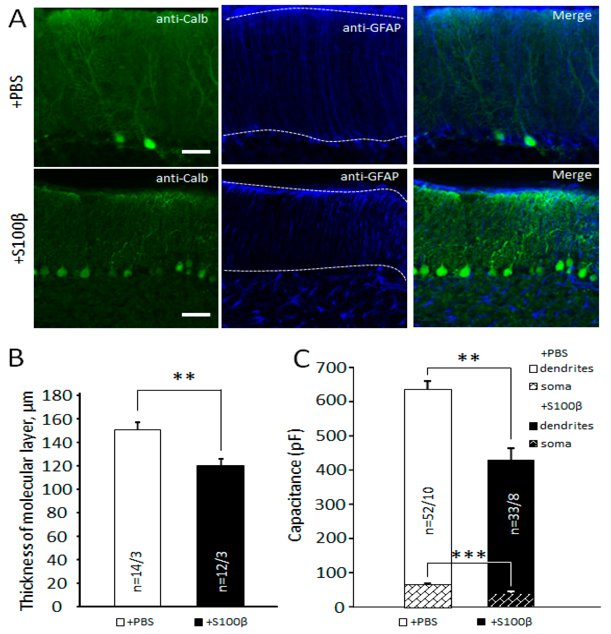 Brainsci 09 00080 g004